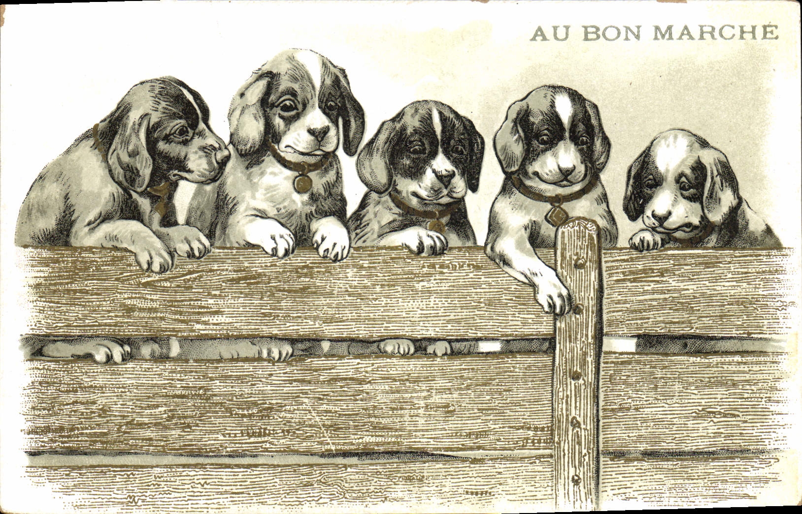 Vintage Postcard Dog Dogs Pup In Bon Marché