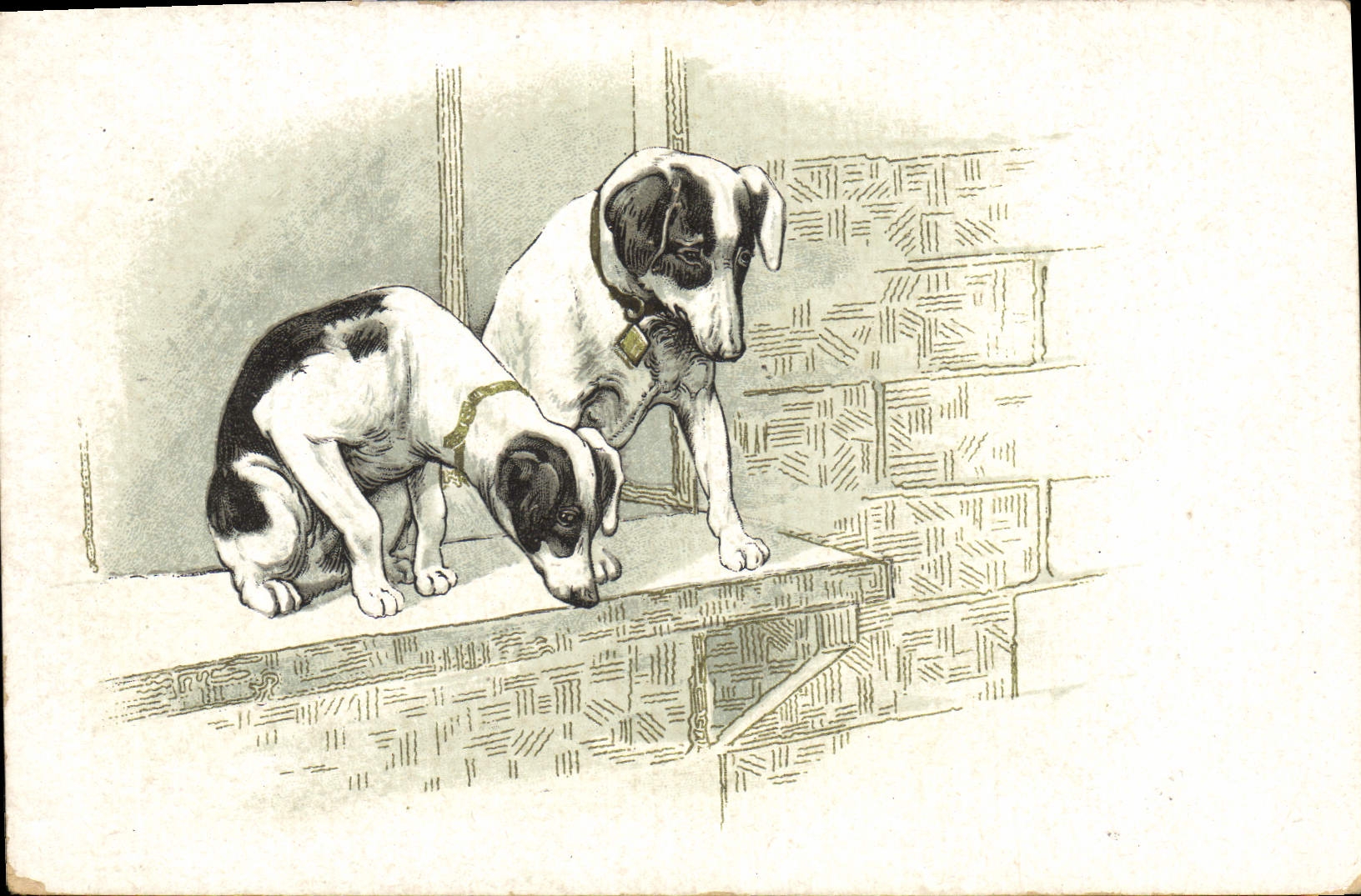 CPA Chien Chiens Chiot 