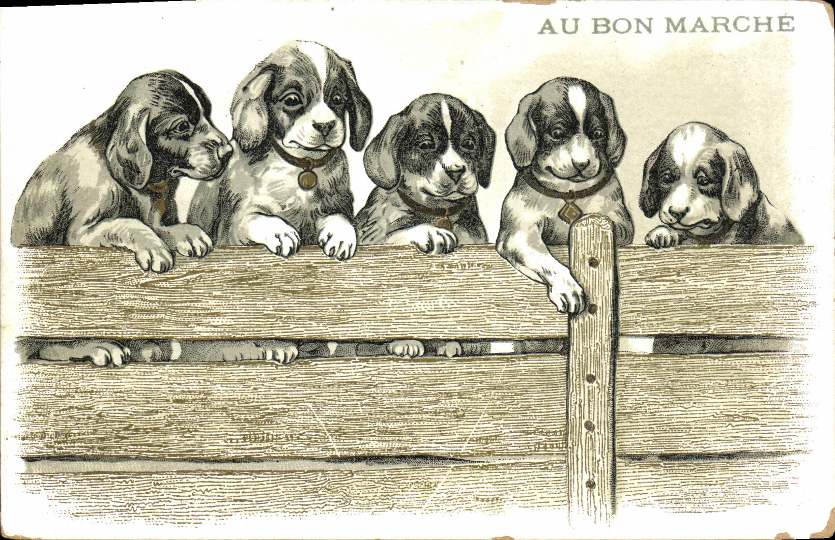 CPA Chien Chiens Chiot Au Bon Marche 