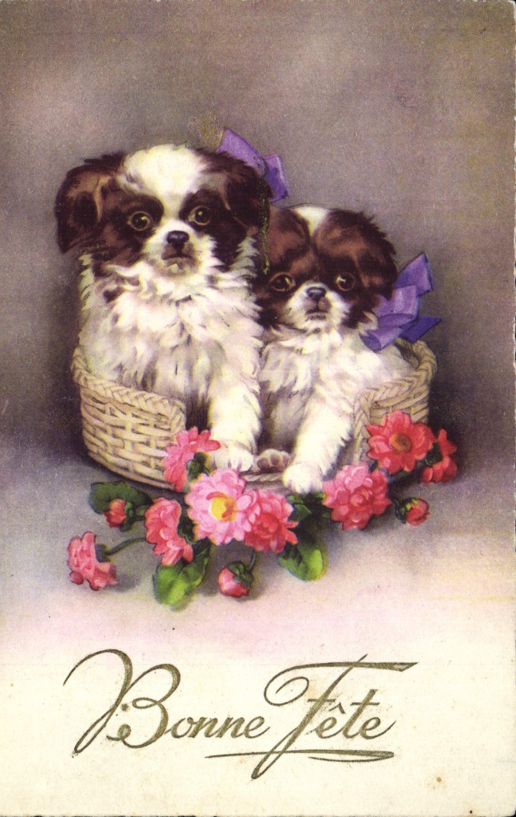 CPA Chien Chiens Chiot 