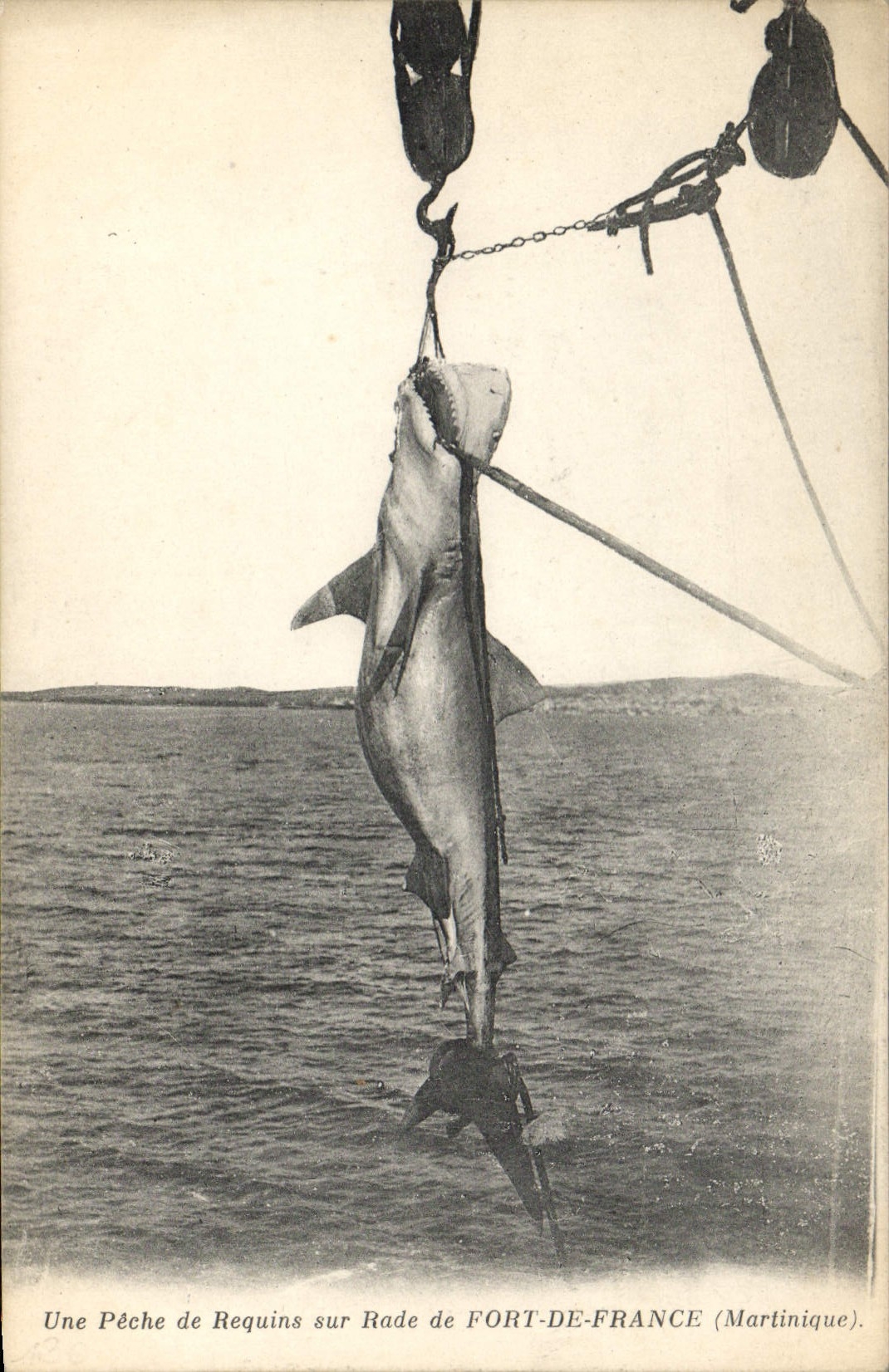 Postal Pesca una pesca de tiburones sobre rada de Fort de France Martinica CUMBRE