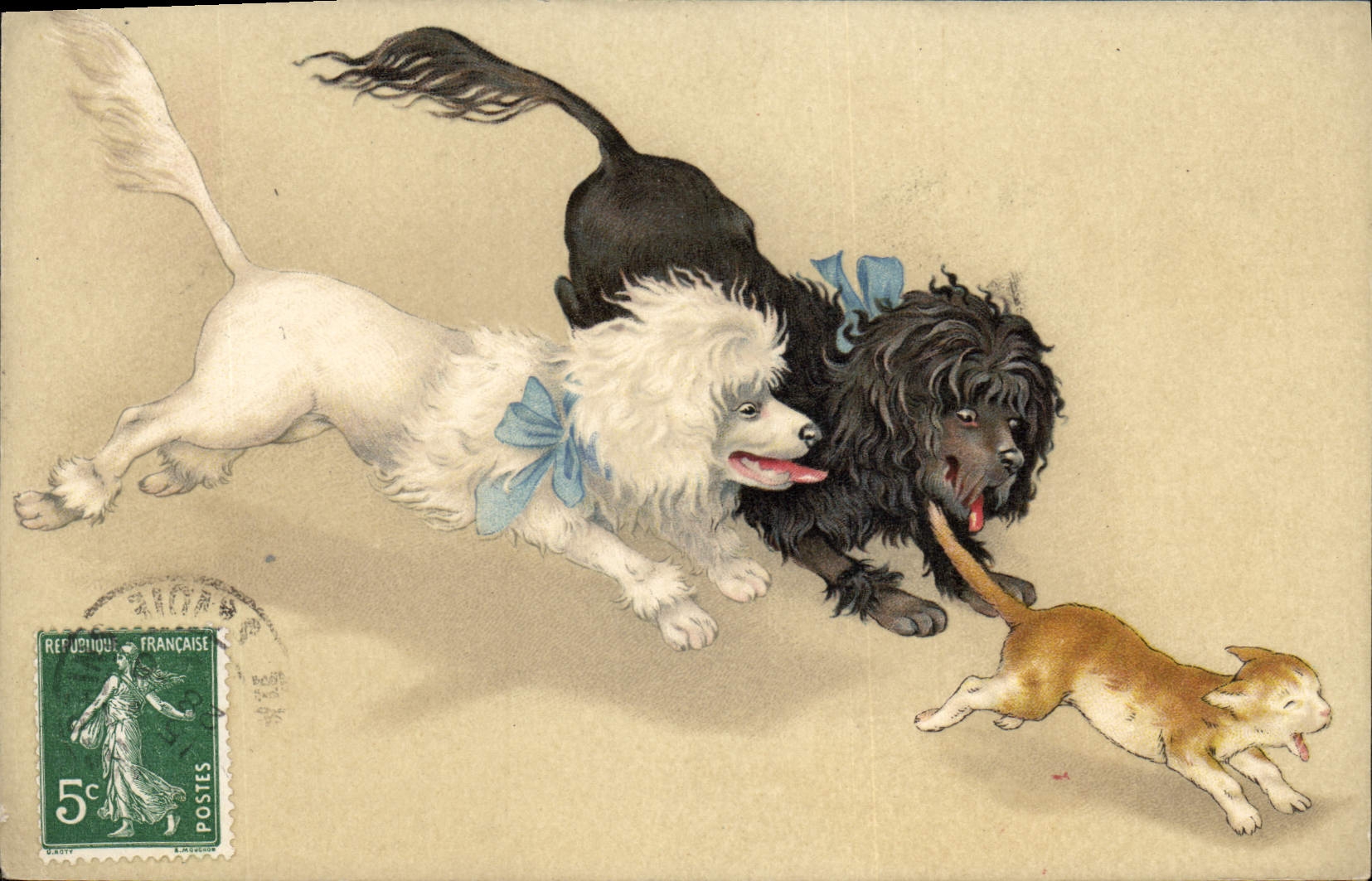 CPA Chien Chiens Chiot Chat