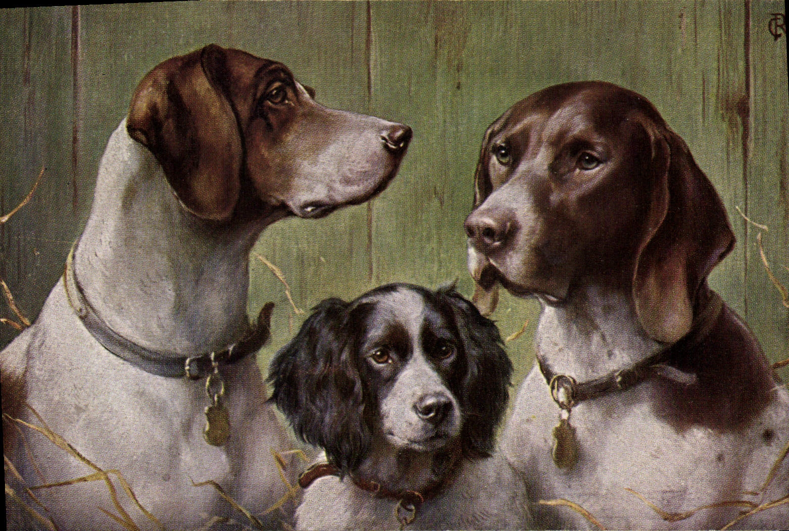 Vintage Postcard Dog Dogs Pup To point Deutscher Vorstehhund und Spaniel Toilets