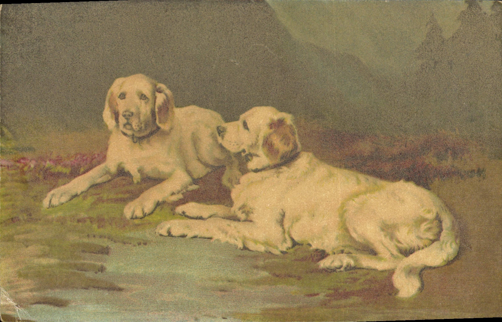 CPA Chien Chiens Chiot 