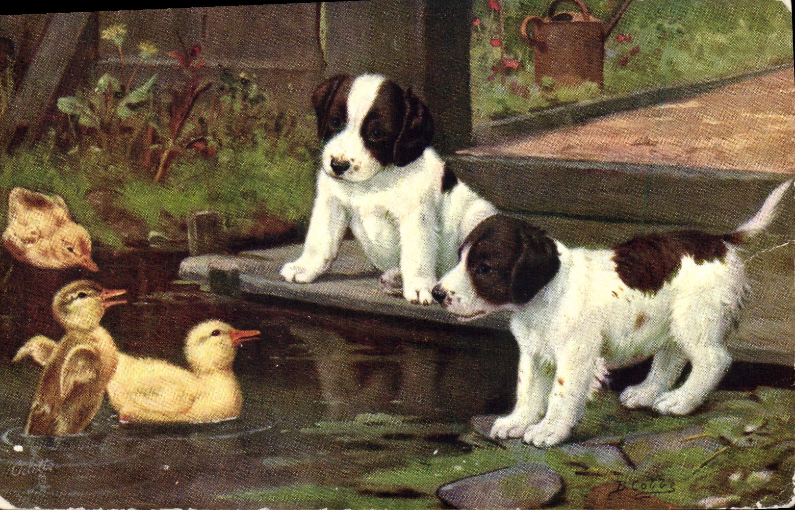 Vintage Postcard Dog Dogs Pup Duck