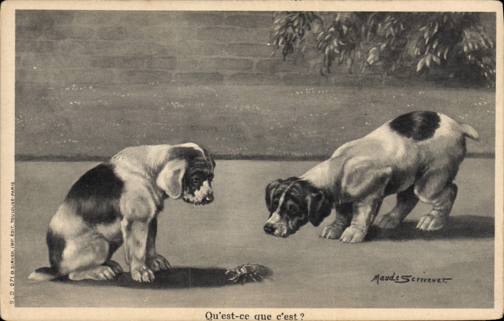 CPA Chien Chiens Chiot 