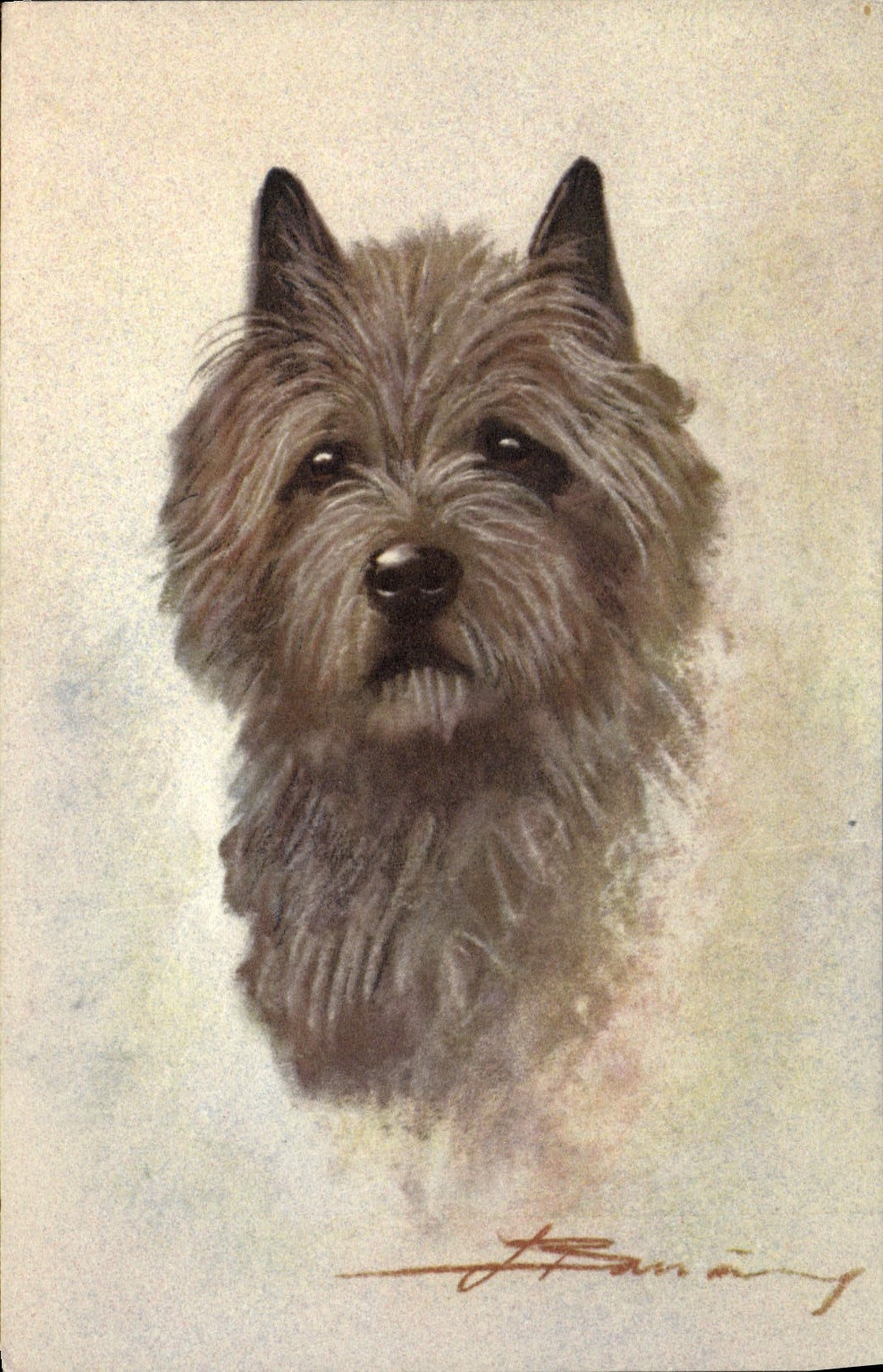 CPA Chien Chiens Chiot 