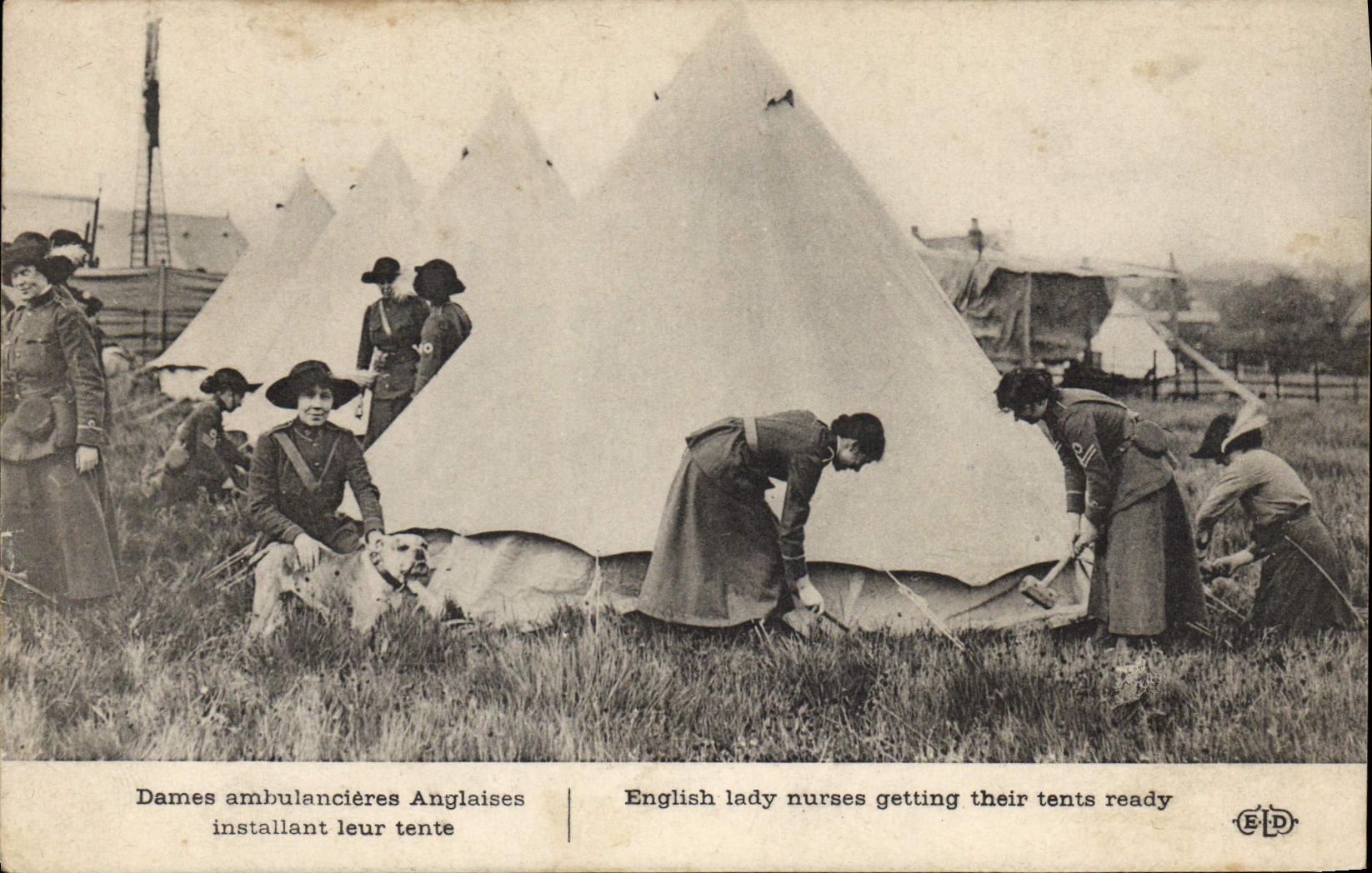 CPA Sante Militaria Dames ambulancieres anglaises installant leur tente
