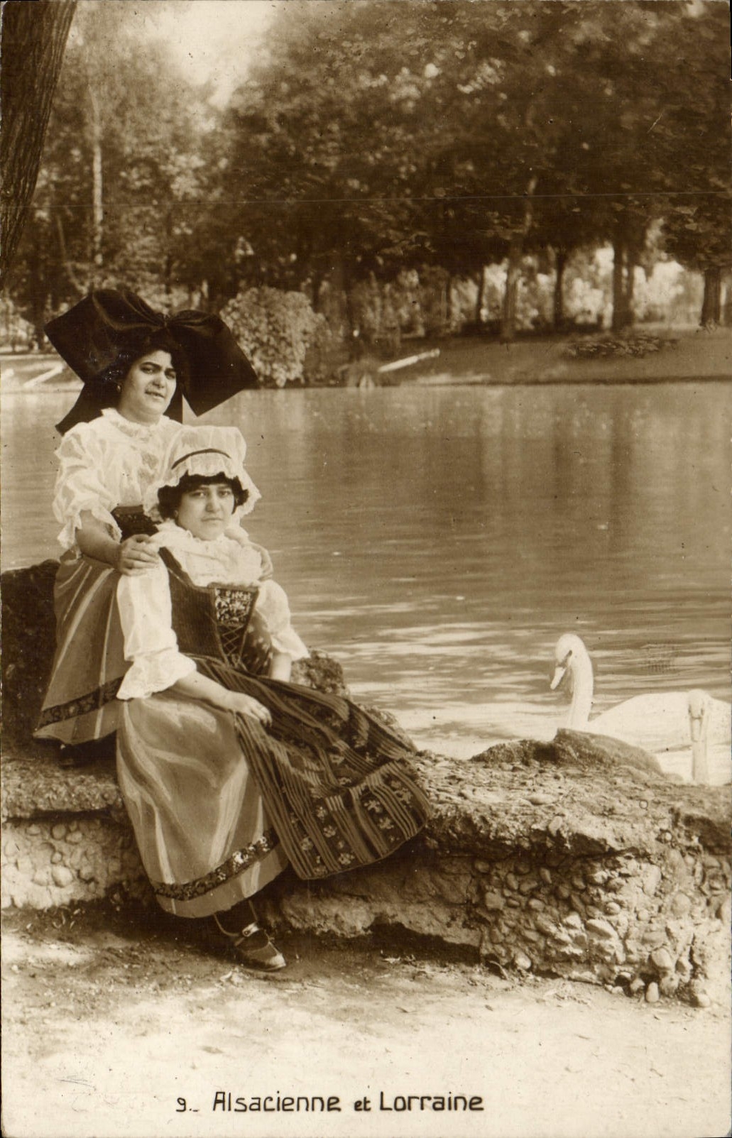 CPA Folklore Alsace Alsacienne et Lorraine Cygne