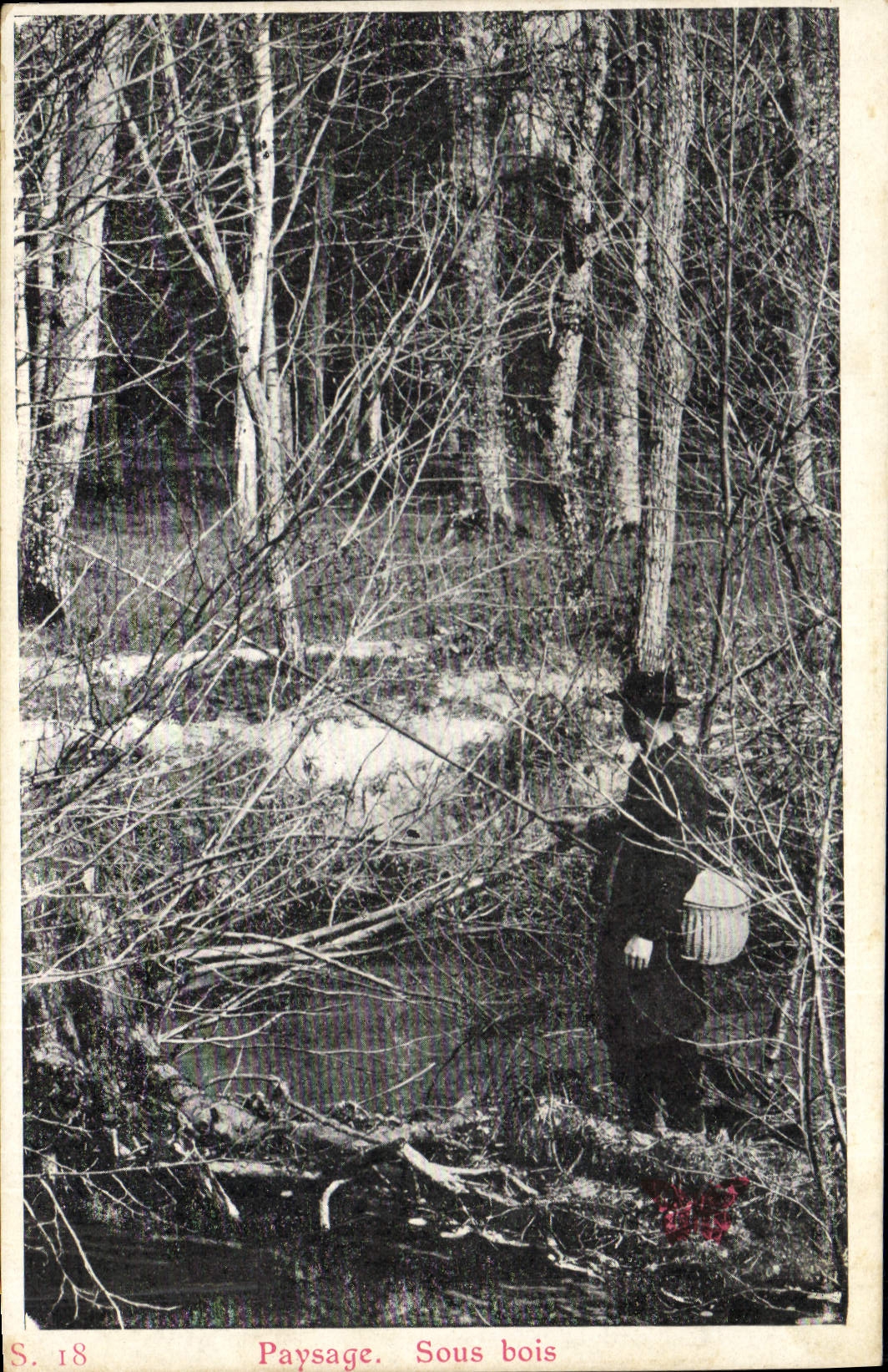 Postal Pesca Pecador Paisaje bajo madera