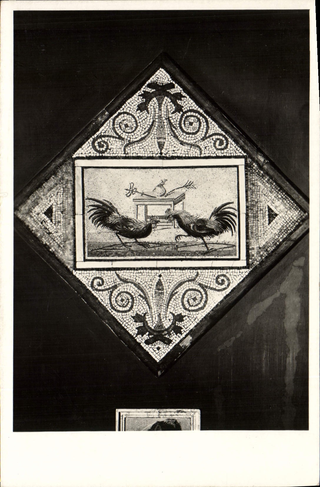CPA Coq Napoli Museo Nazionale Combattimento di galletti Mosaico di Pompei