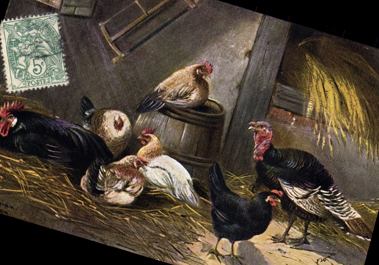 CPA Coq Poules