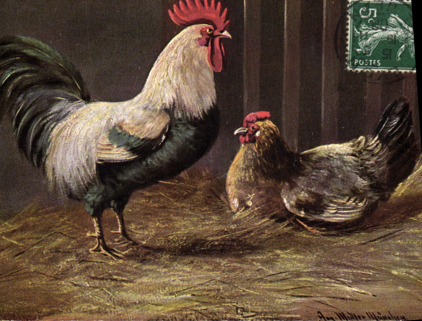 CPA Coq Poule