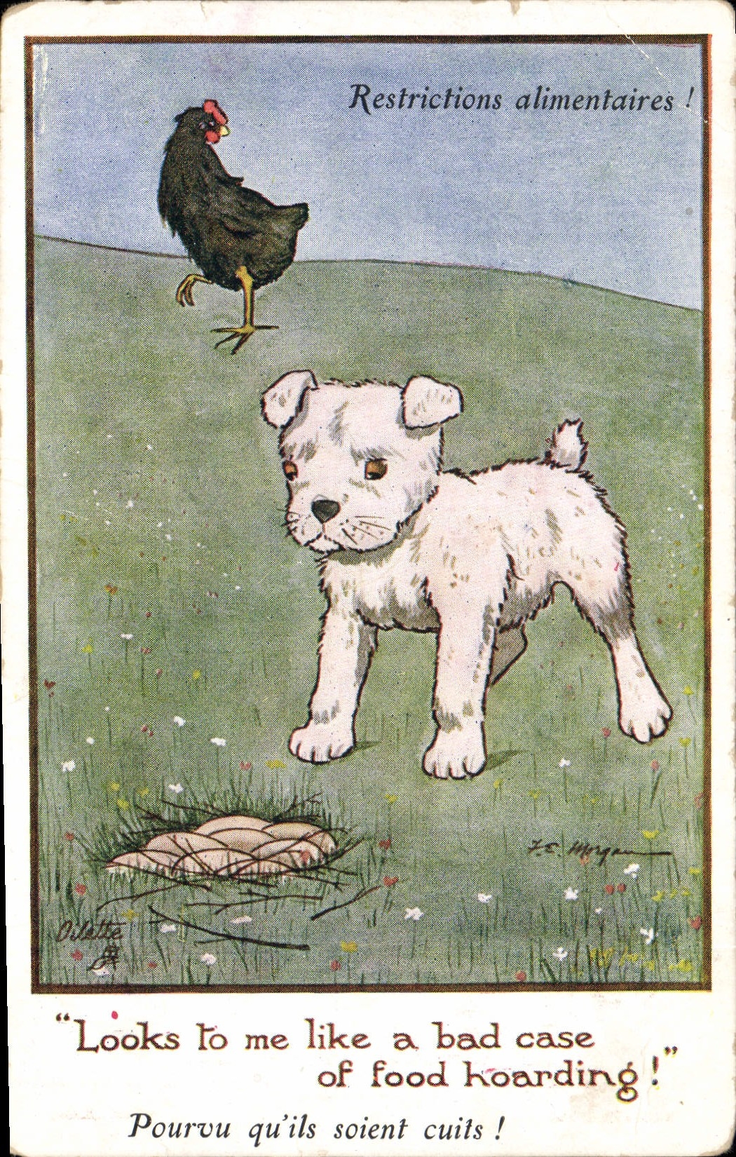 CPA Coq Chien Restrictions alimentaires 