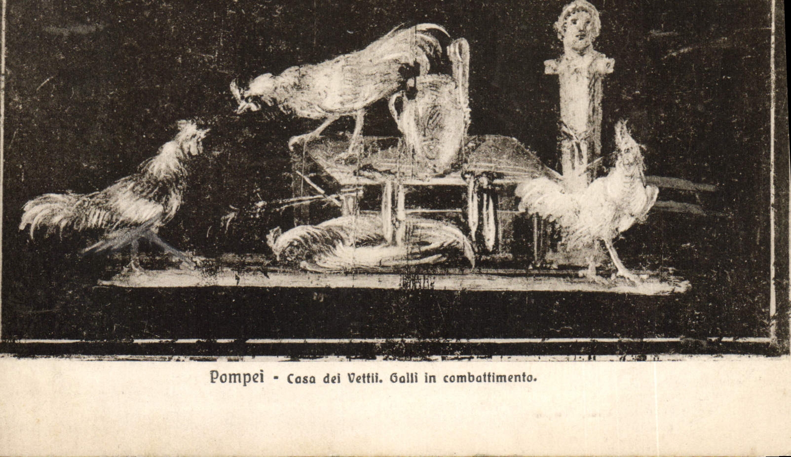 CPA Coq Pompei Case dei Vettii Galli in combattimento