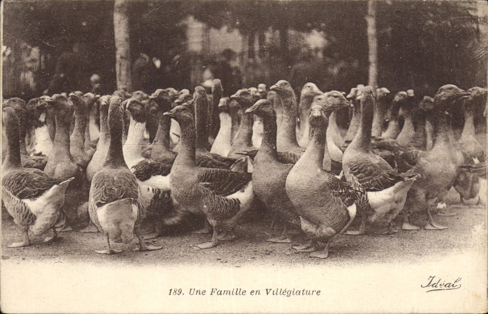 CPA Oies Une famille en villegiature 
