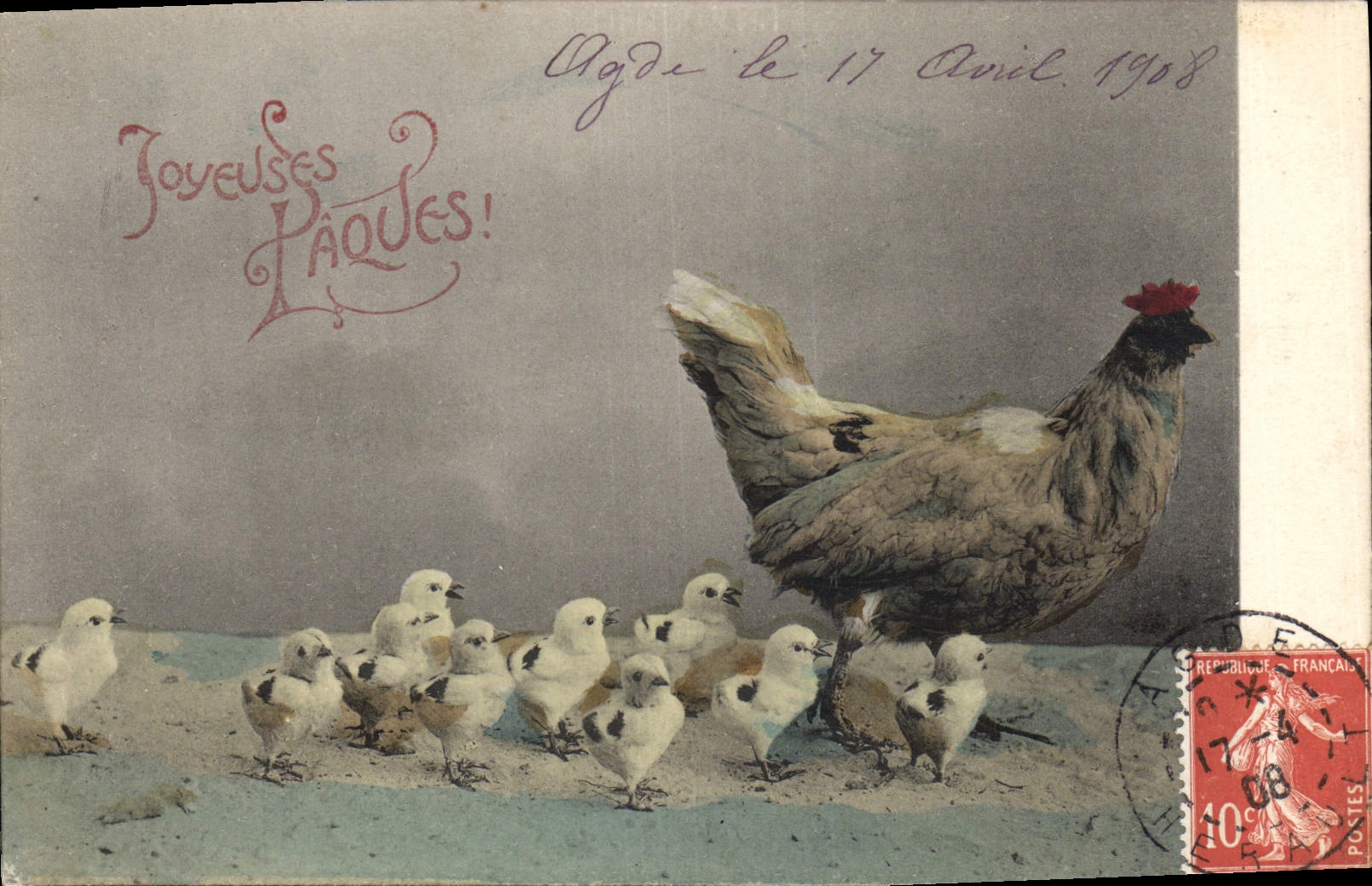 CPA Coq Poule Poussins 