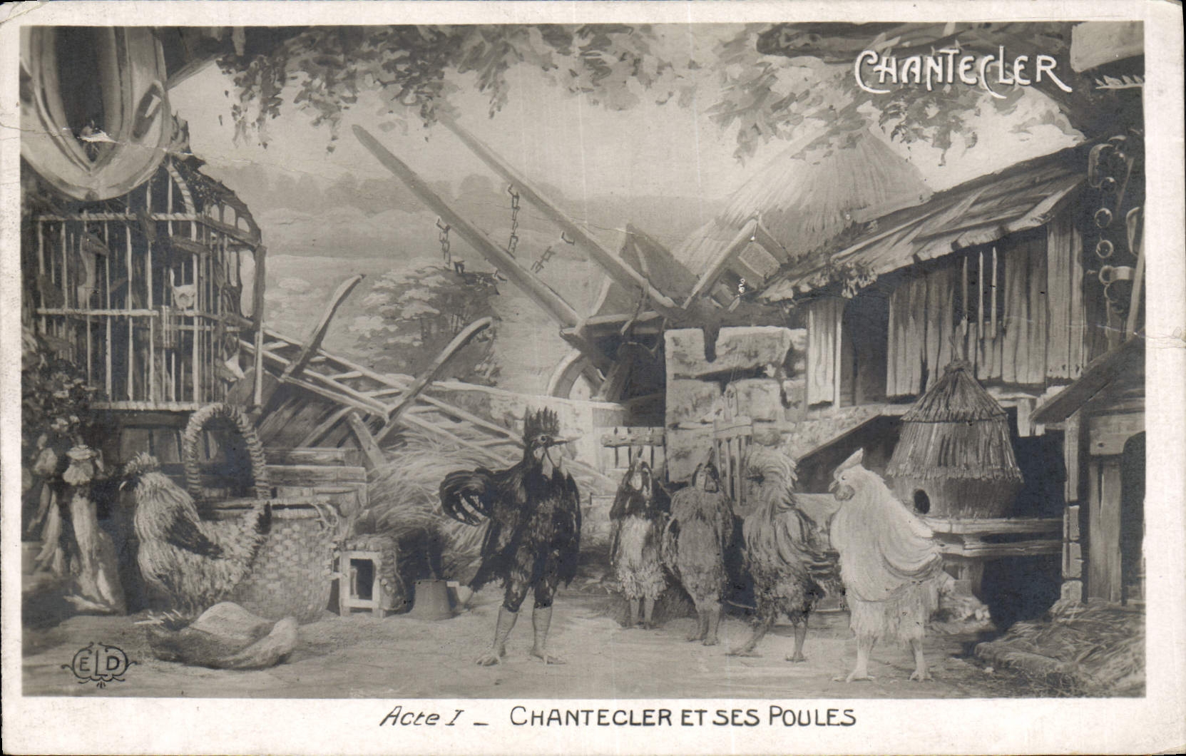 CPA Coq Poule Chantecler et ses poules 