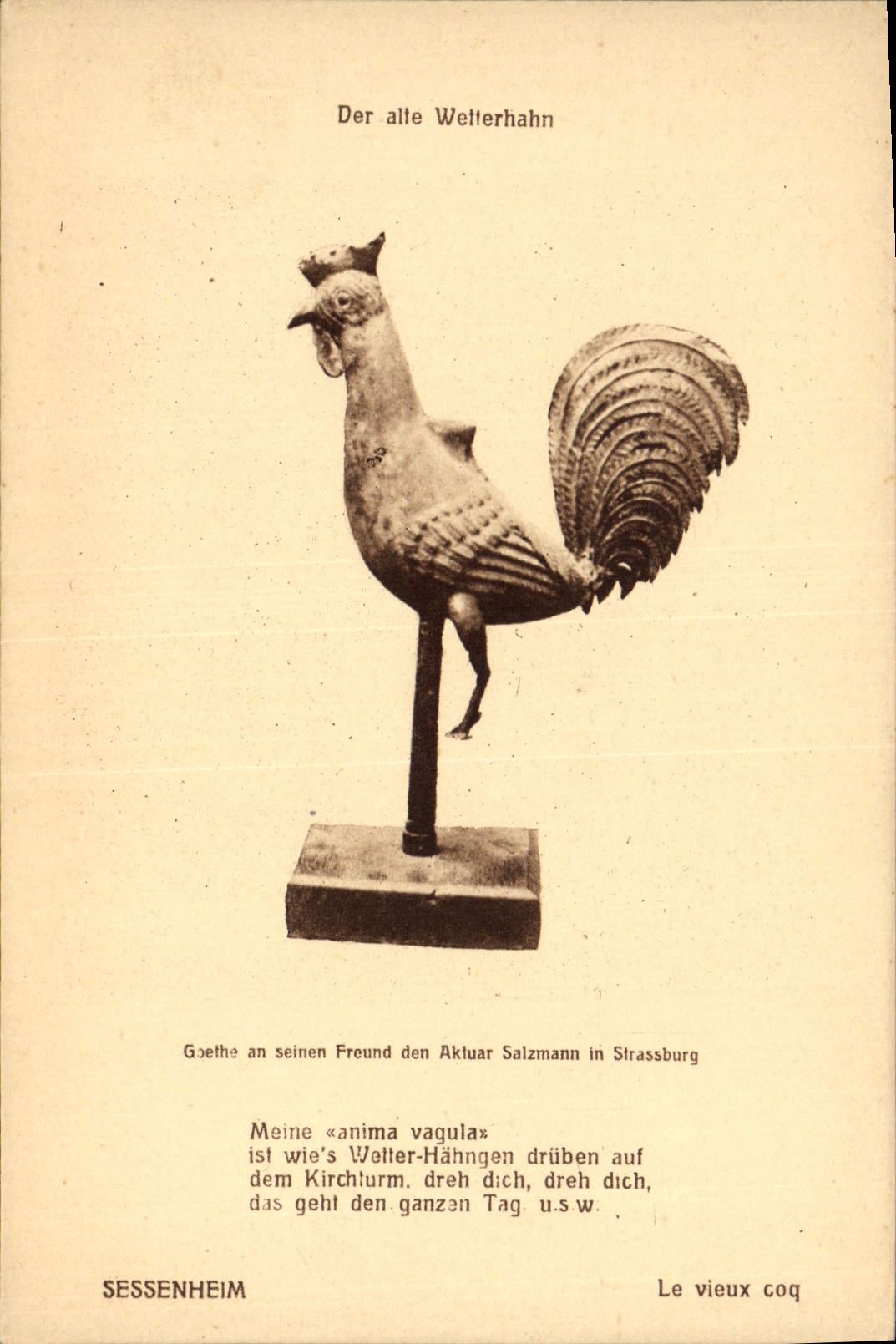 CPA Coq Poule Sessenheim Le vieux Coq 