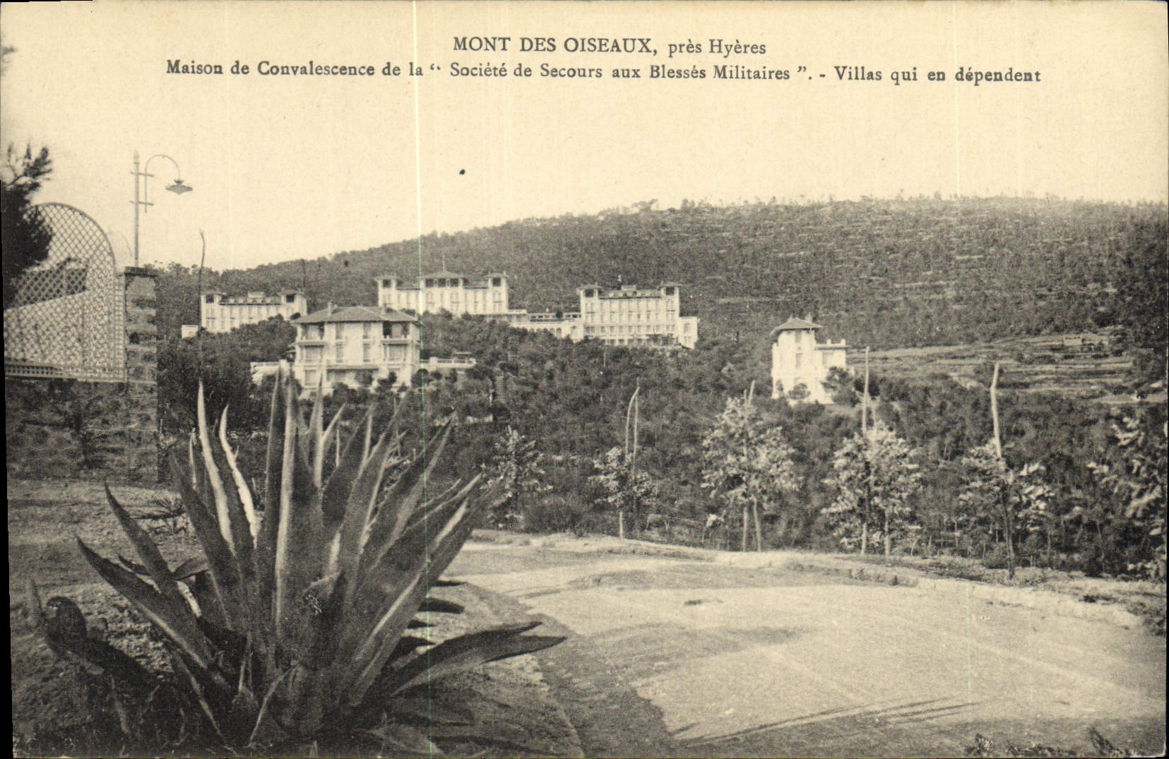 Vintage Postcard Sante Militaria Mont of the Birds close Hyeres Maison of convalescene of the Company of Help with Wound Military