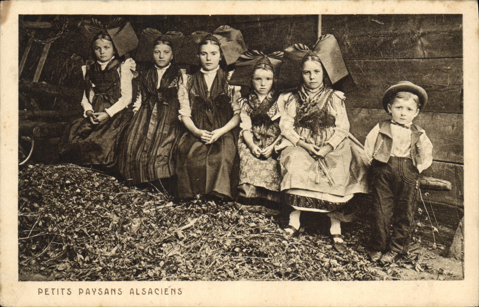 Vintage Postcard Alsace Folklore Alsatian small farmers