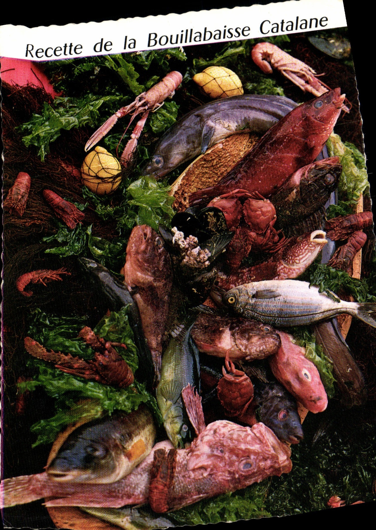 Postal Ingreso de la Bullabesa Catalana