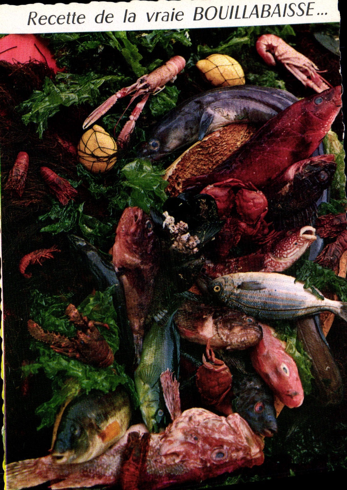 CPM Recette de la vraie Bouillabaisse
