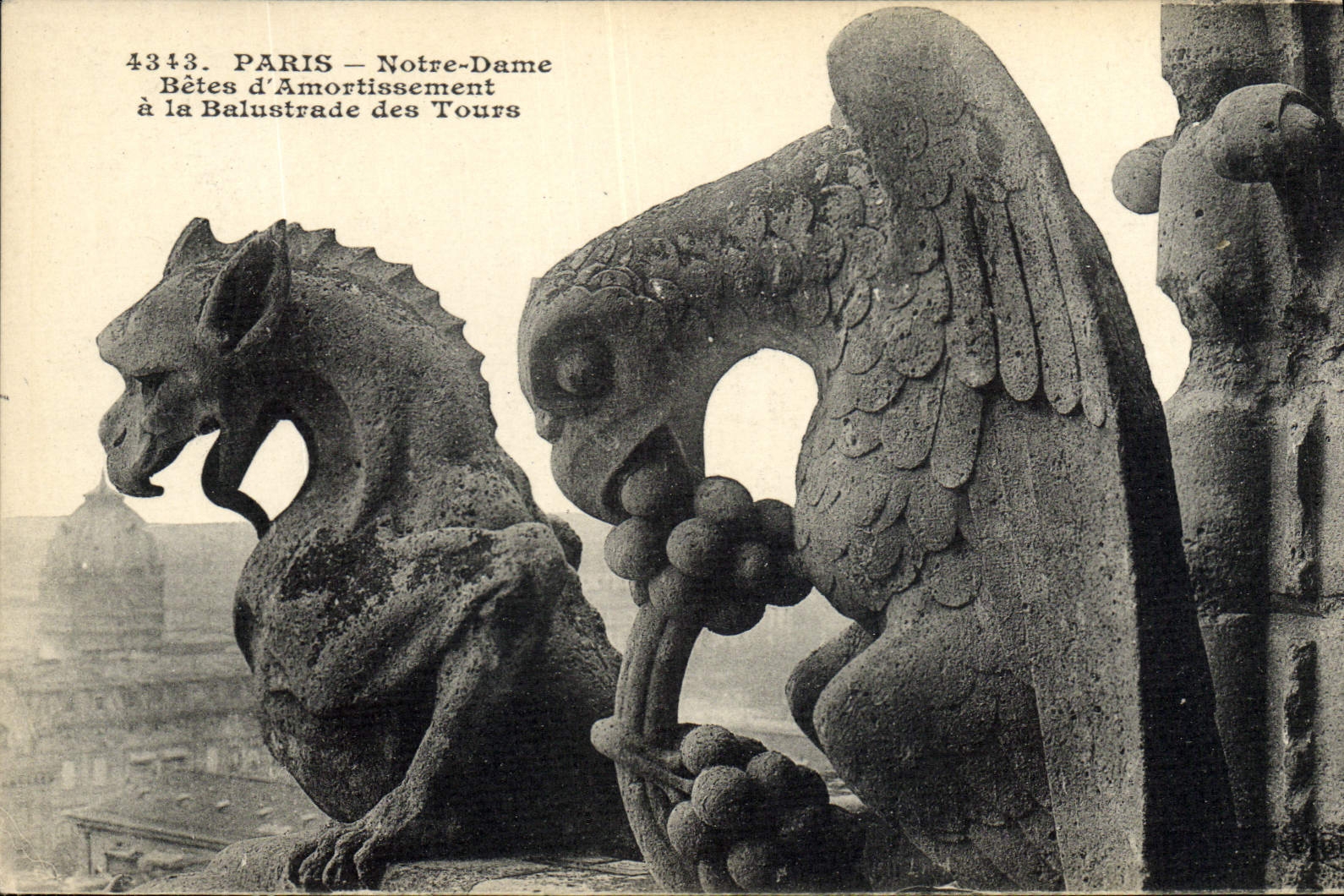 CPA Gargouille Paris Notre Dame Betes d'amortissement a la balustrade des Tours
