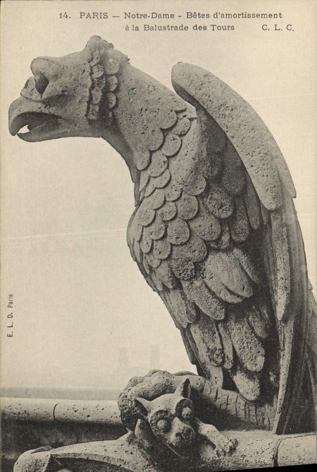 CPA Gargouille Paris Notre Dame Betes d'amortissement a la balustrade des Tours