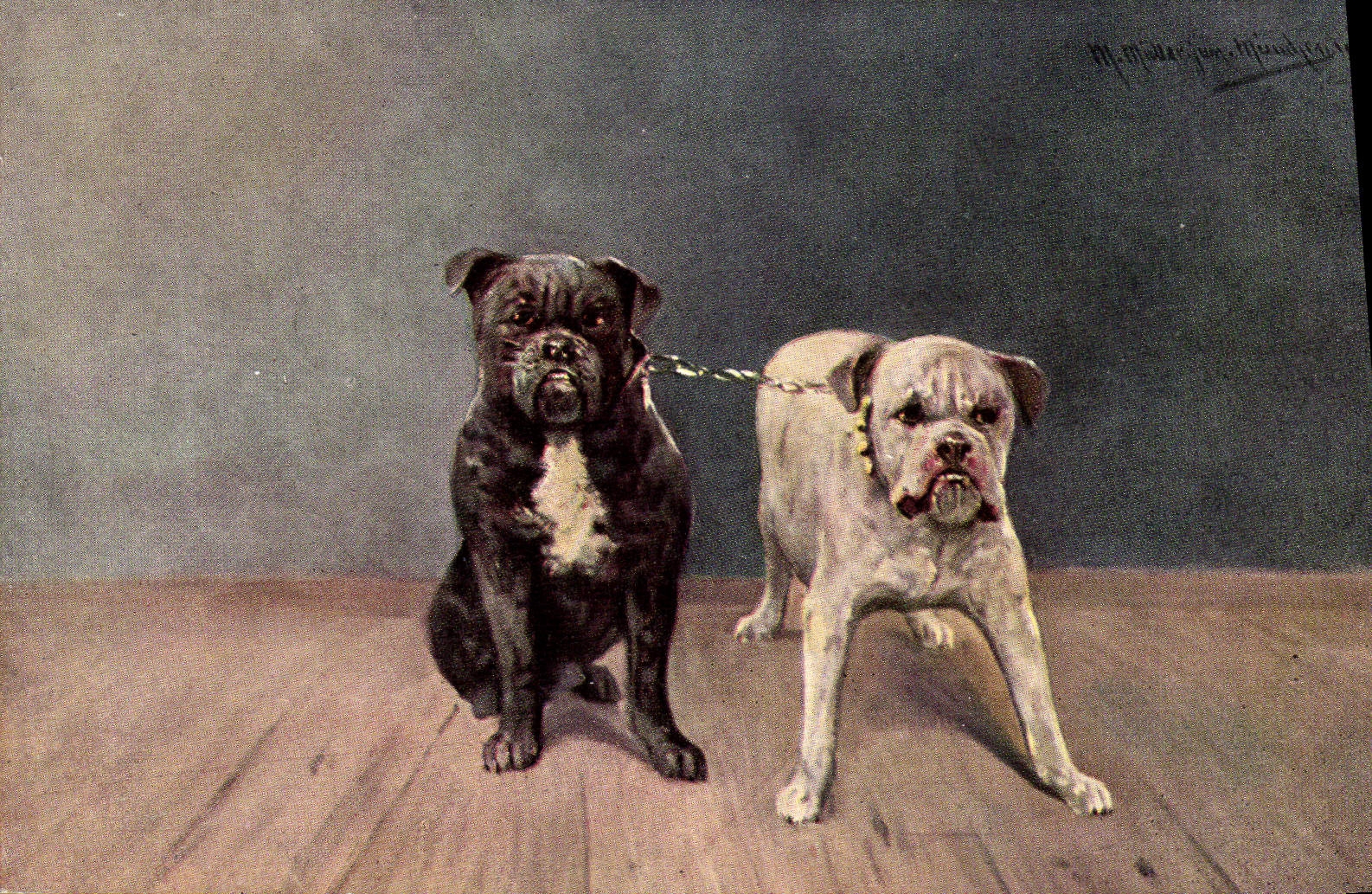 CPA Chien Chiens Chiot 