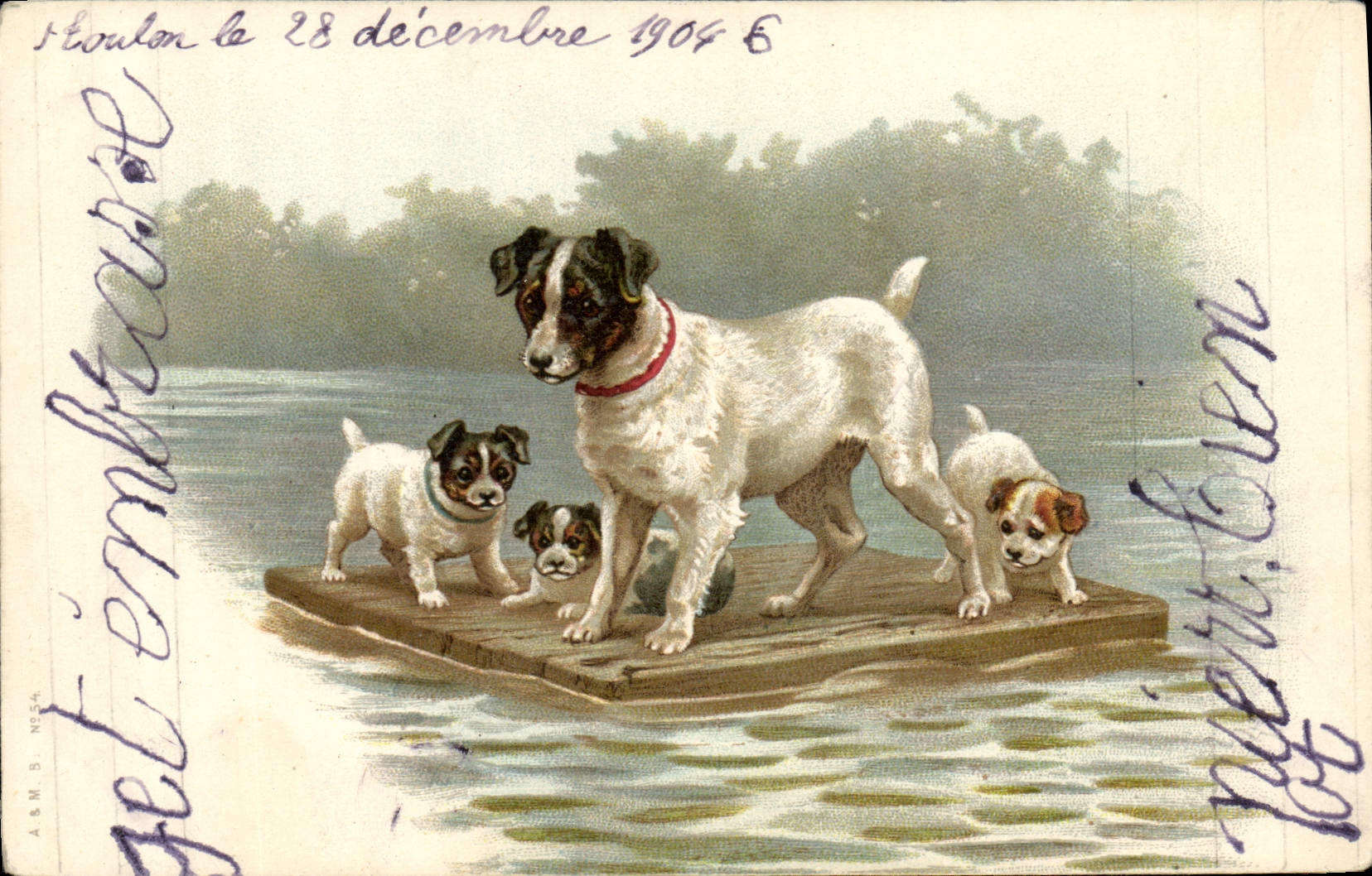 CPA Chien Chiens Chiot 