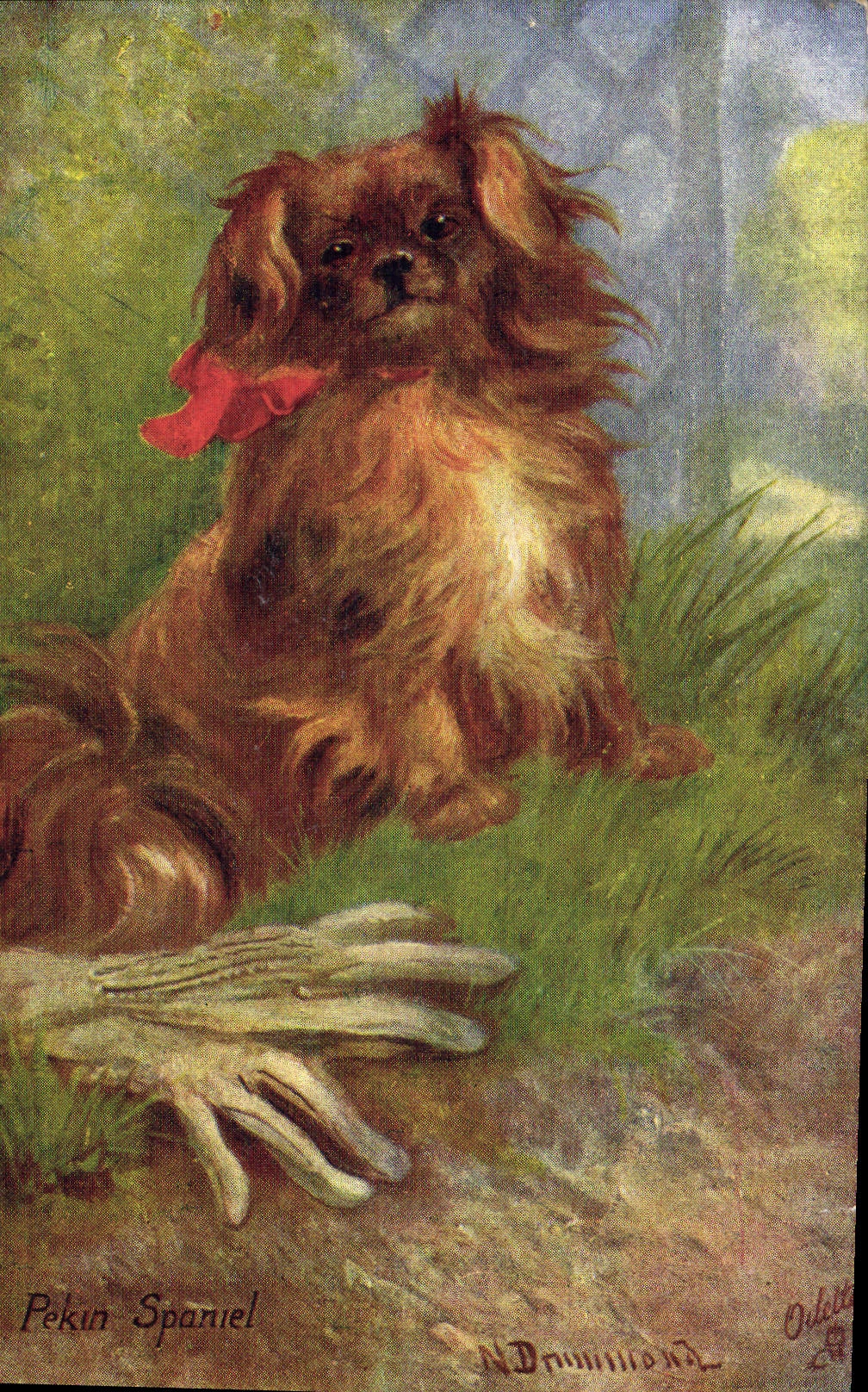 Vintage Postcard Dog Dogs Pup Beijing spaniel
