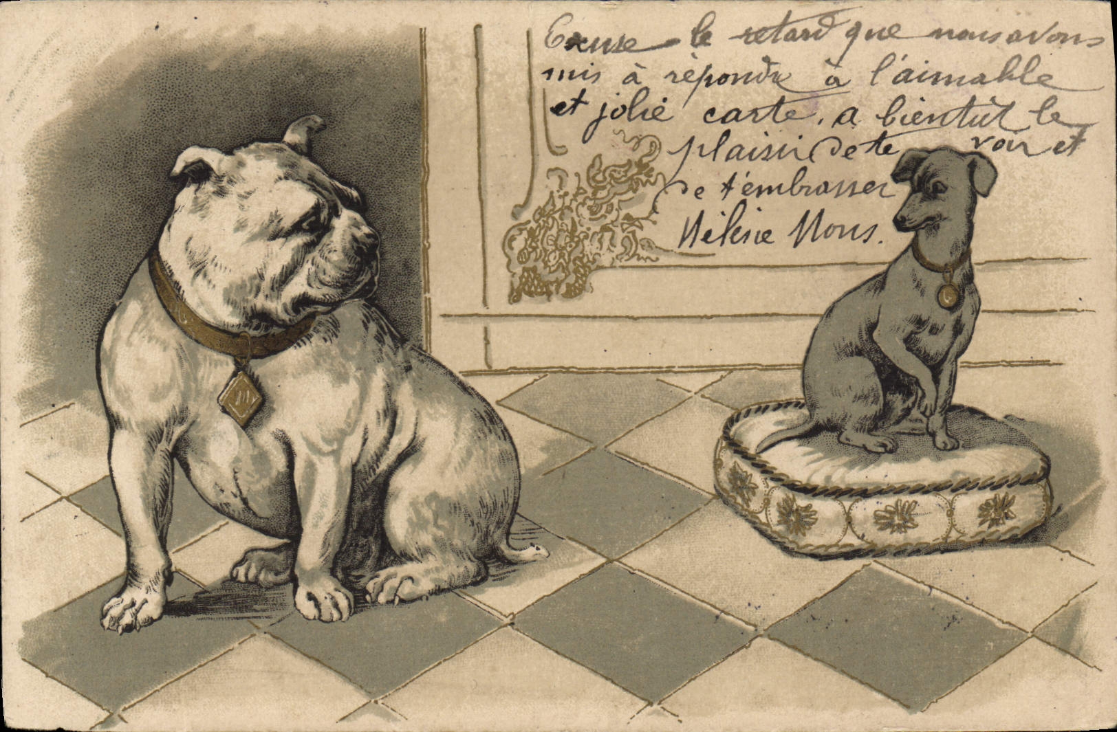 CPA Chien Chiens Chiot 