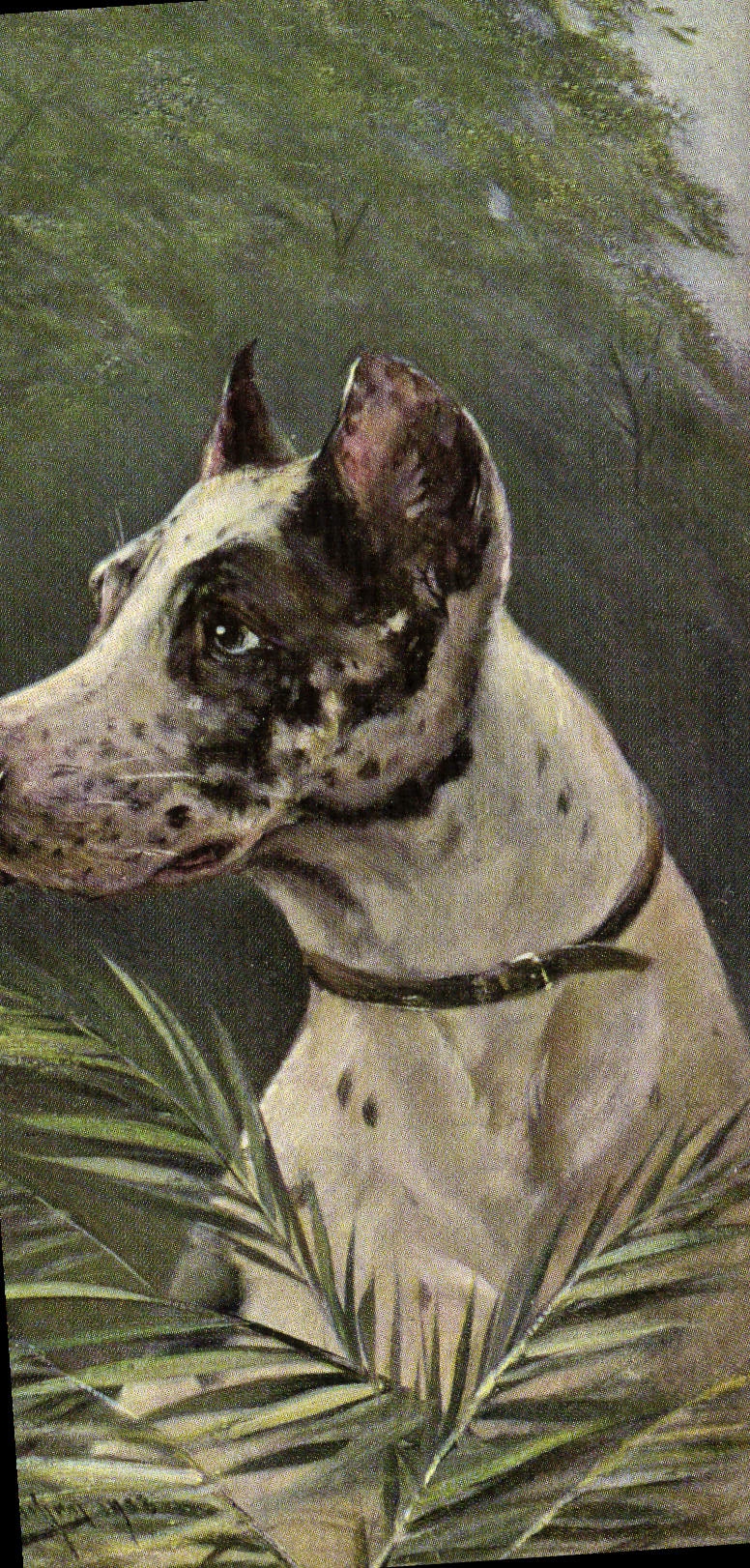 CPA Chien Chiens Chiot 