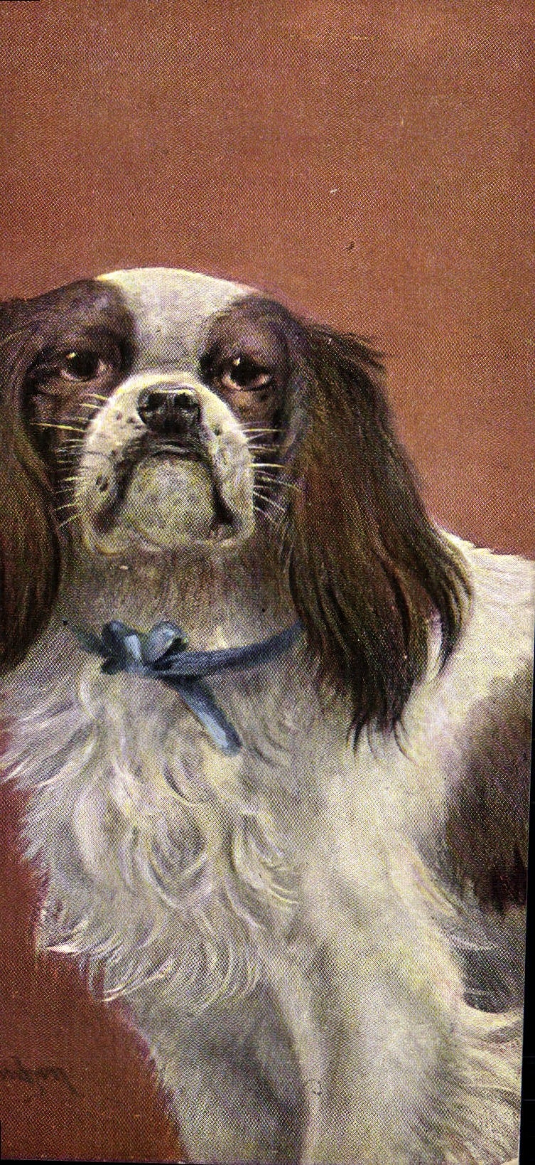 CPA Chien Chiens Chiot 