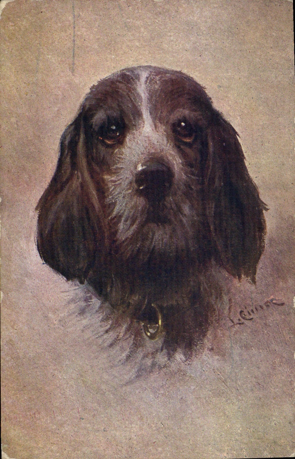 CPA Chien Chiens Chiot 