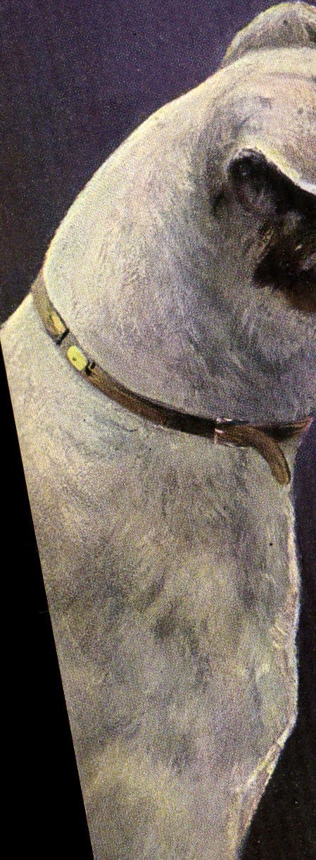 CPA Chien Chiens Chiot 