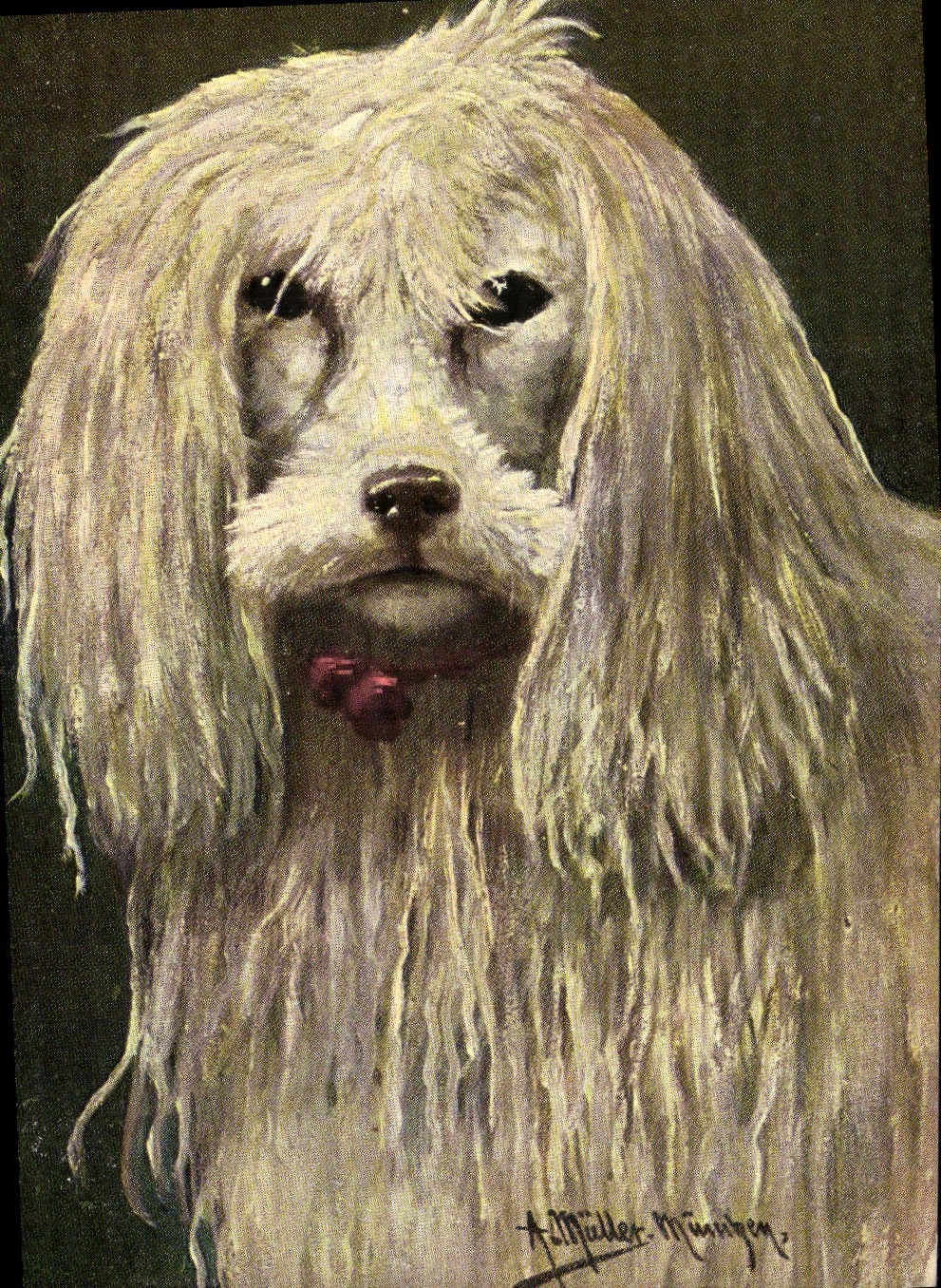 CPA Chien Chiens Chiot 