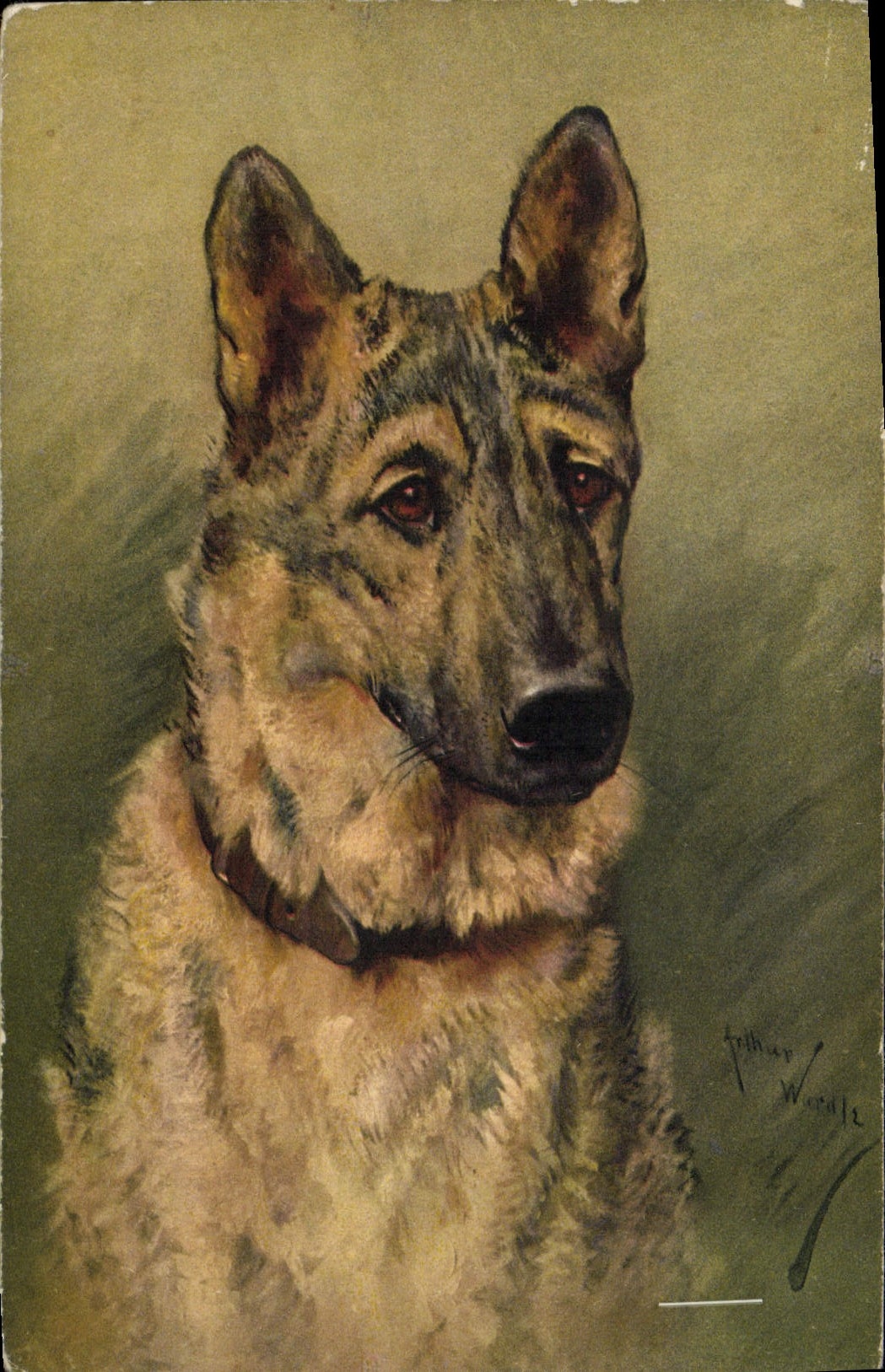 Vintage Postcard Dog Dogs Pup German Shepherd