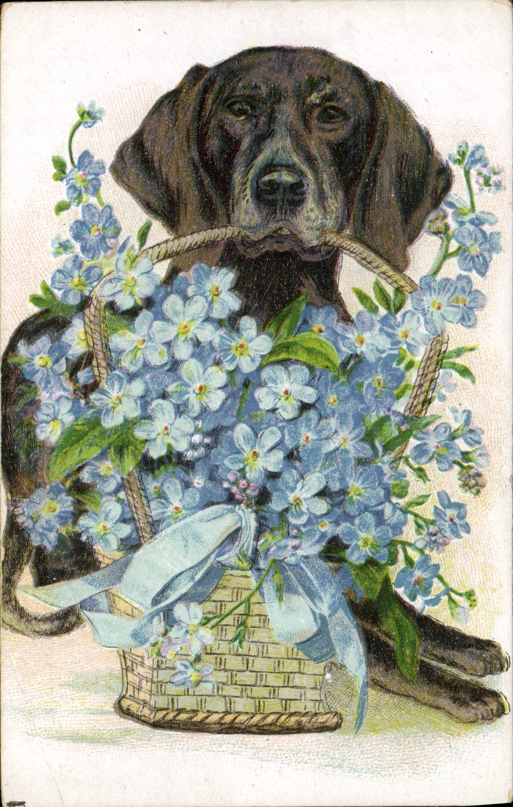 CPA Chien Chiens Chiot 