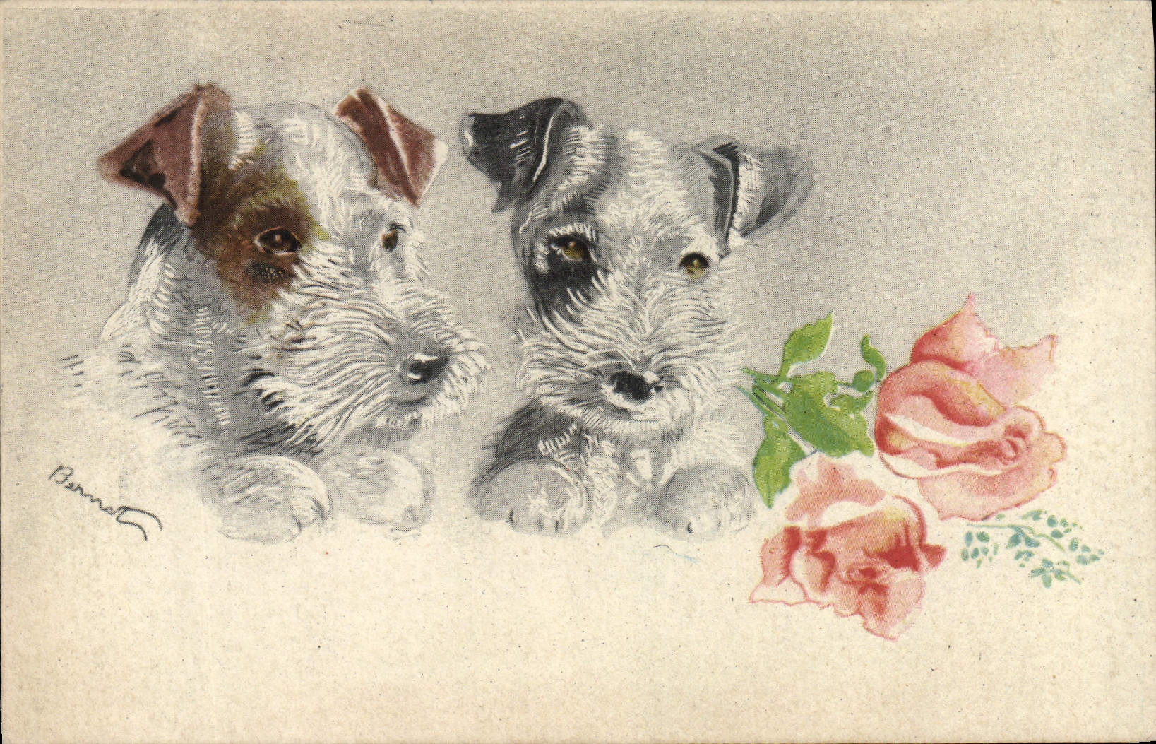 CPA Chien Chiens Chiot 