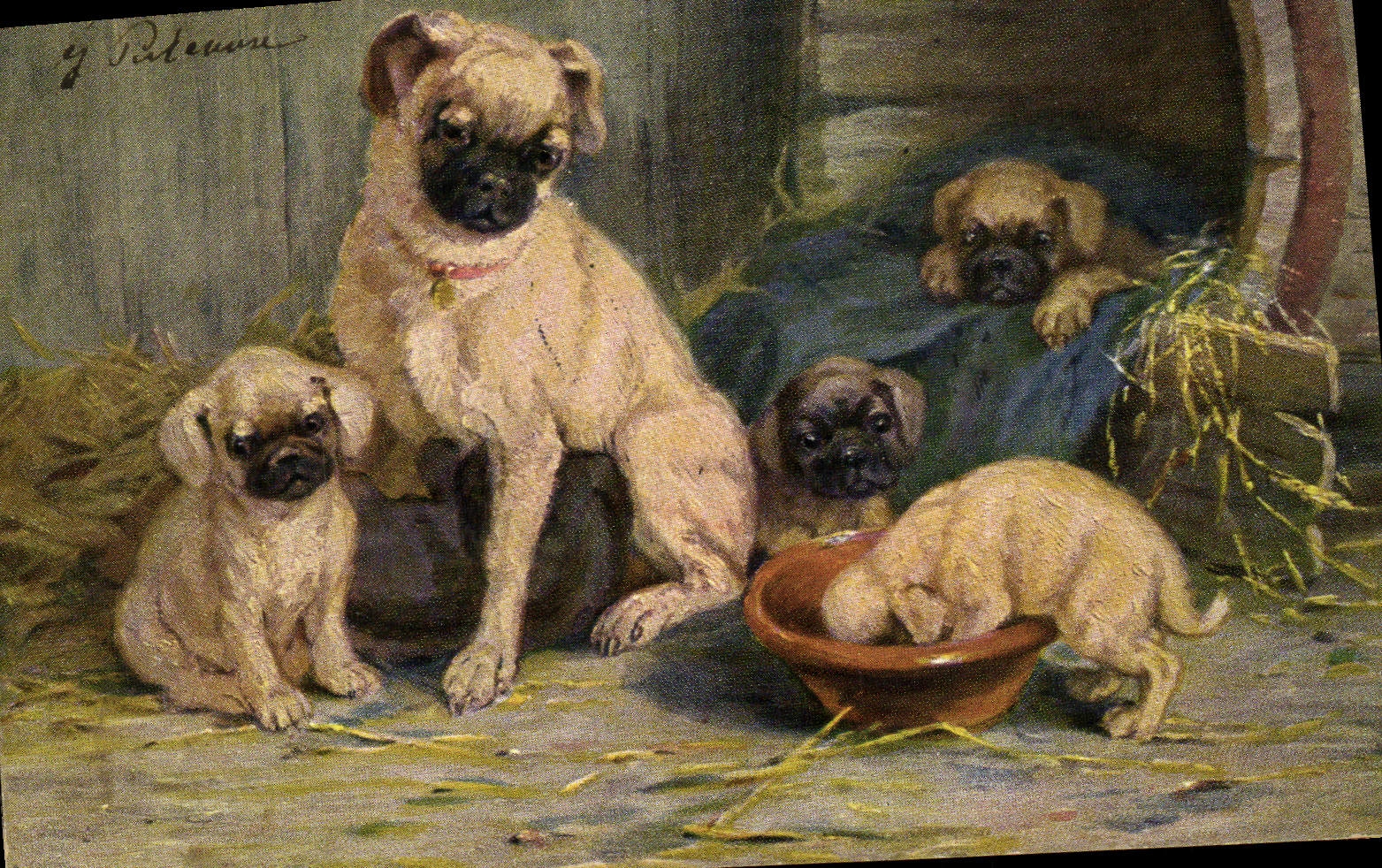 CPA Chien Chiens Chiot 