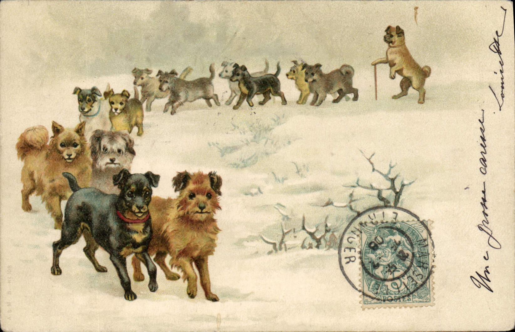 CPA Chien Chiens Chiot 