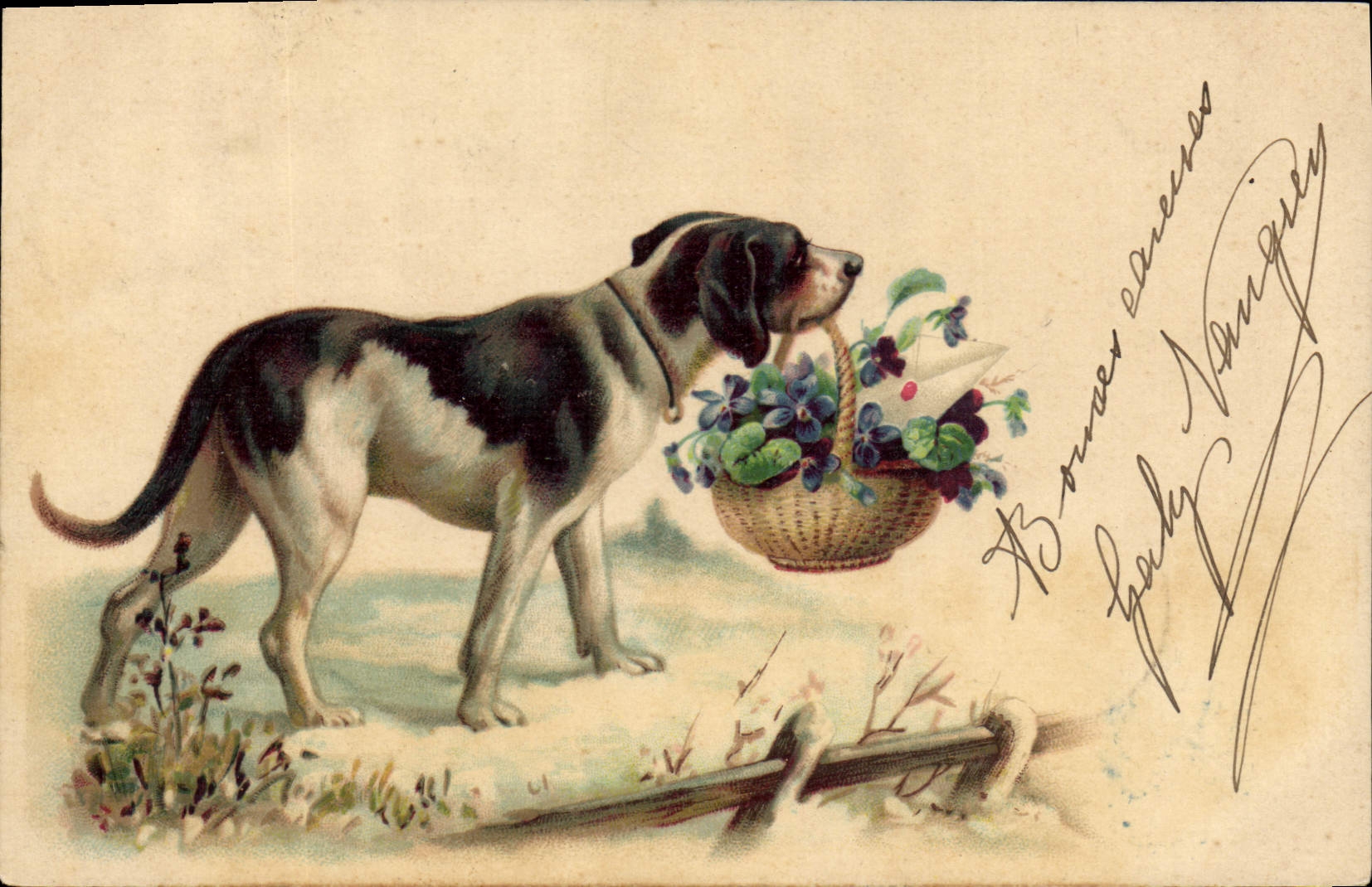 CPA Chien Chiens Chiot 