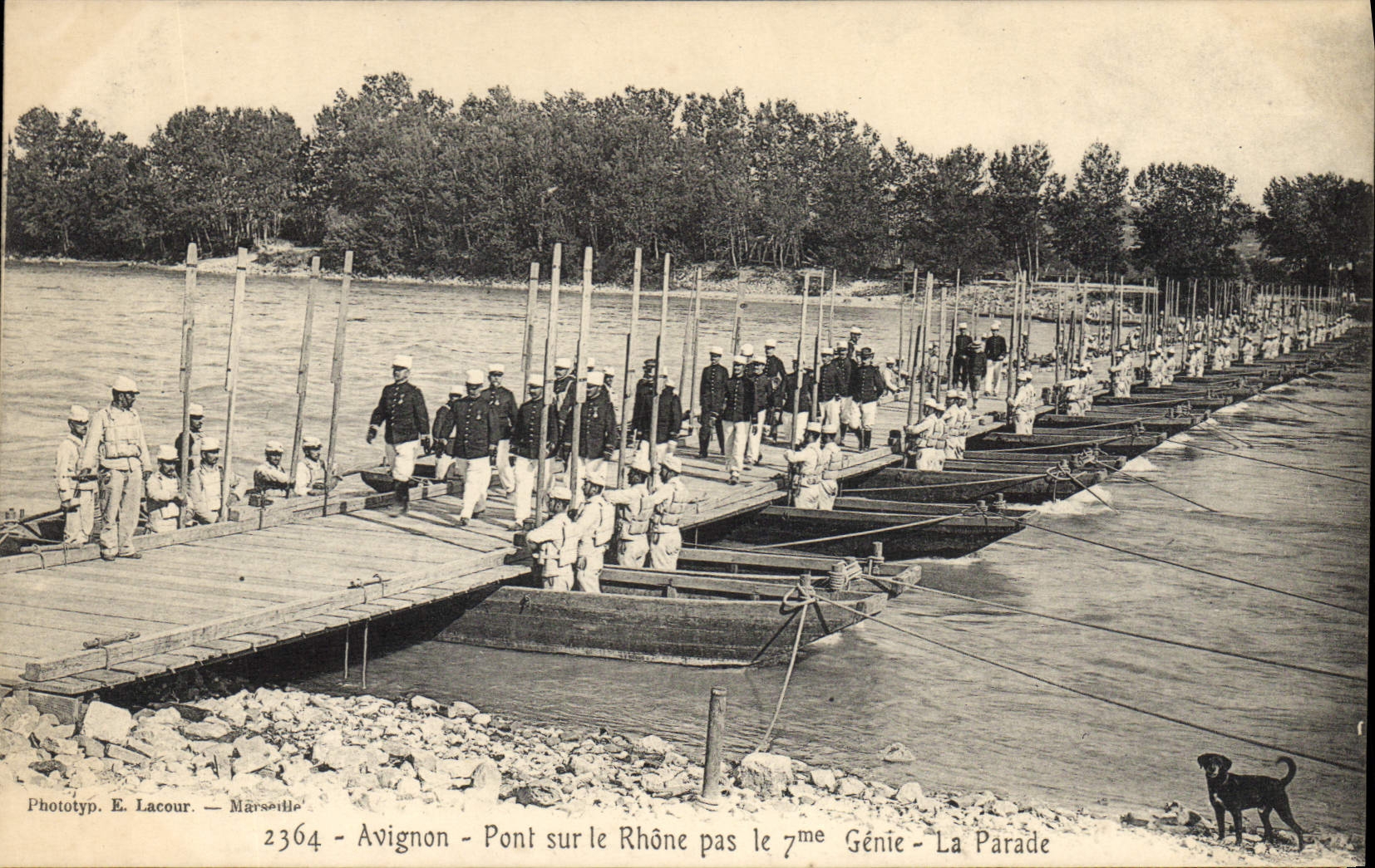 CPA Militaria Avignon Pont sur le Rhone pas le 7eme Genie La parade