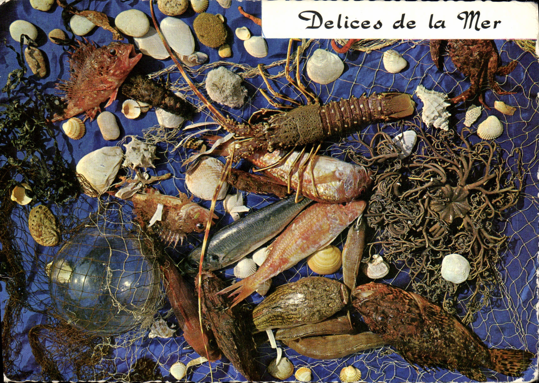 CPM Delices de la mer 