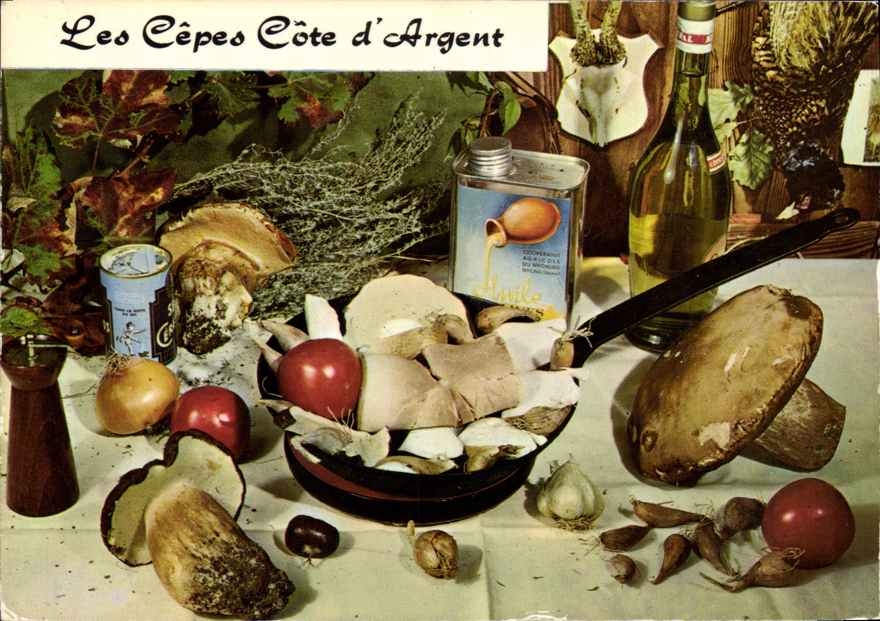 CPM Les Cepes Cote d'Argent 