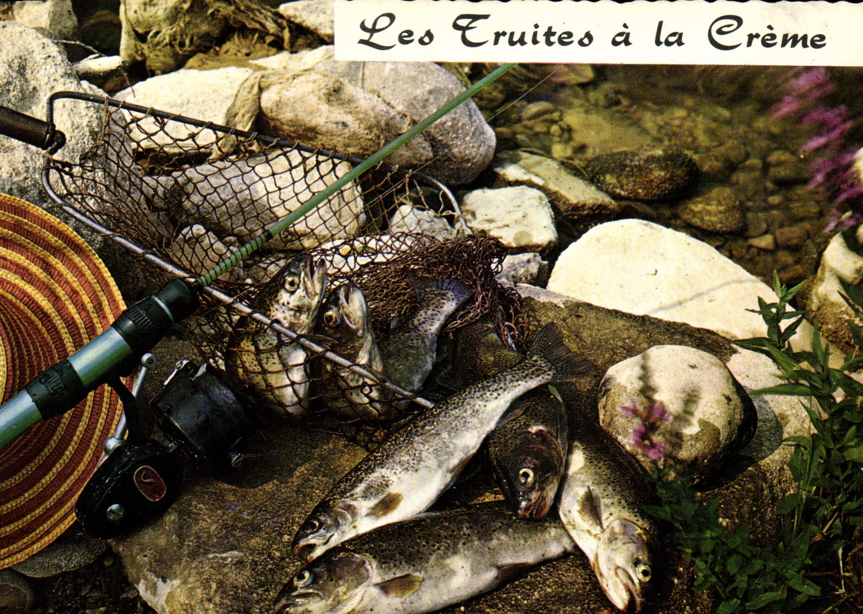 Postal las truchas tienen la crema