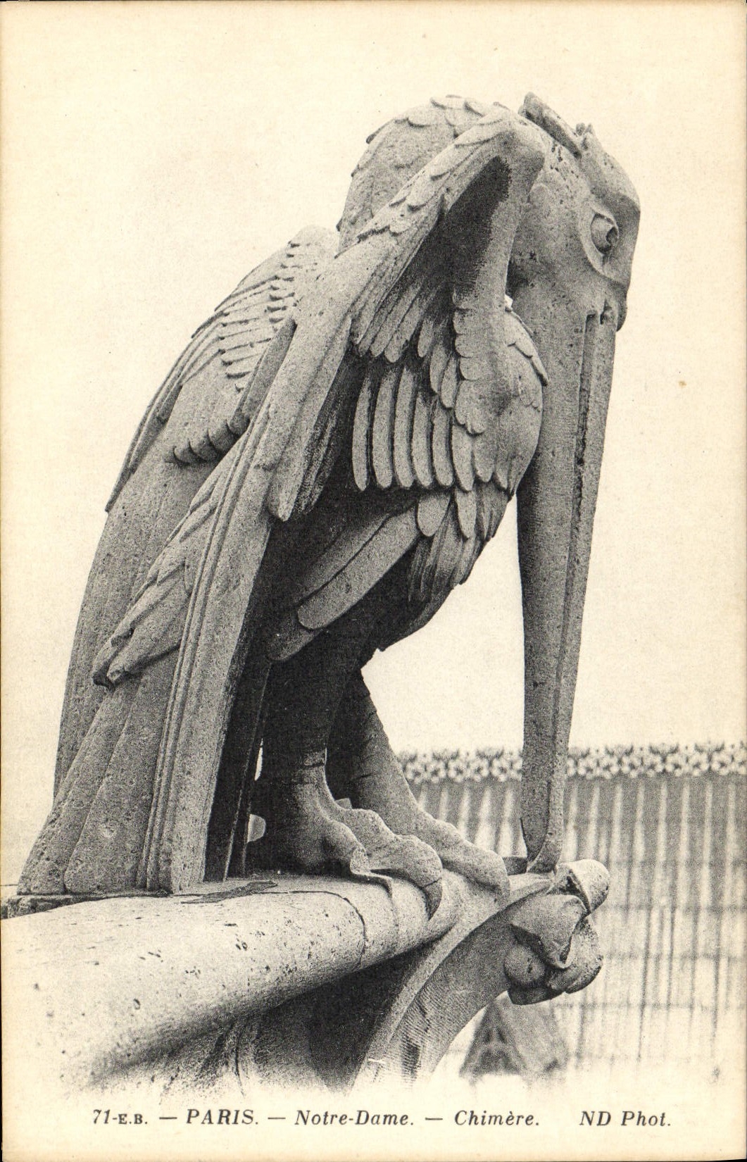 CPA Gargouille Paris Notre Dame Chimere