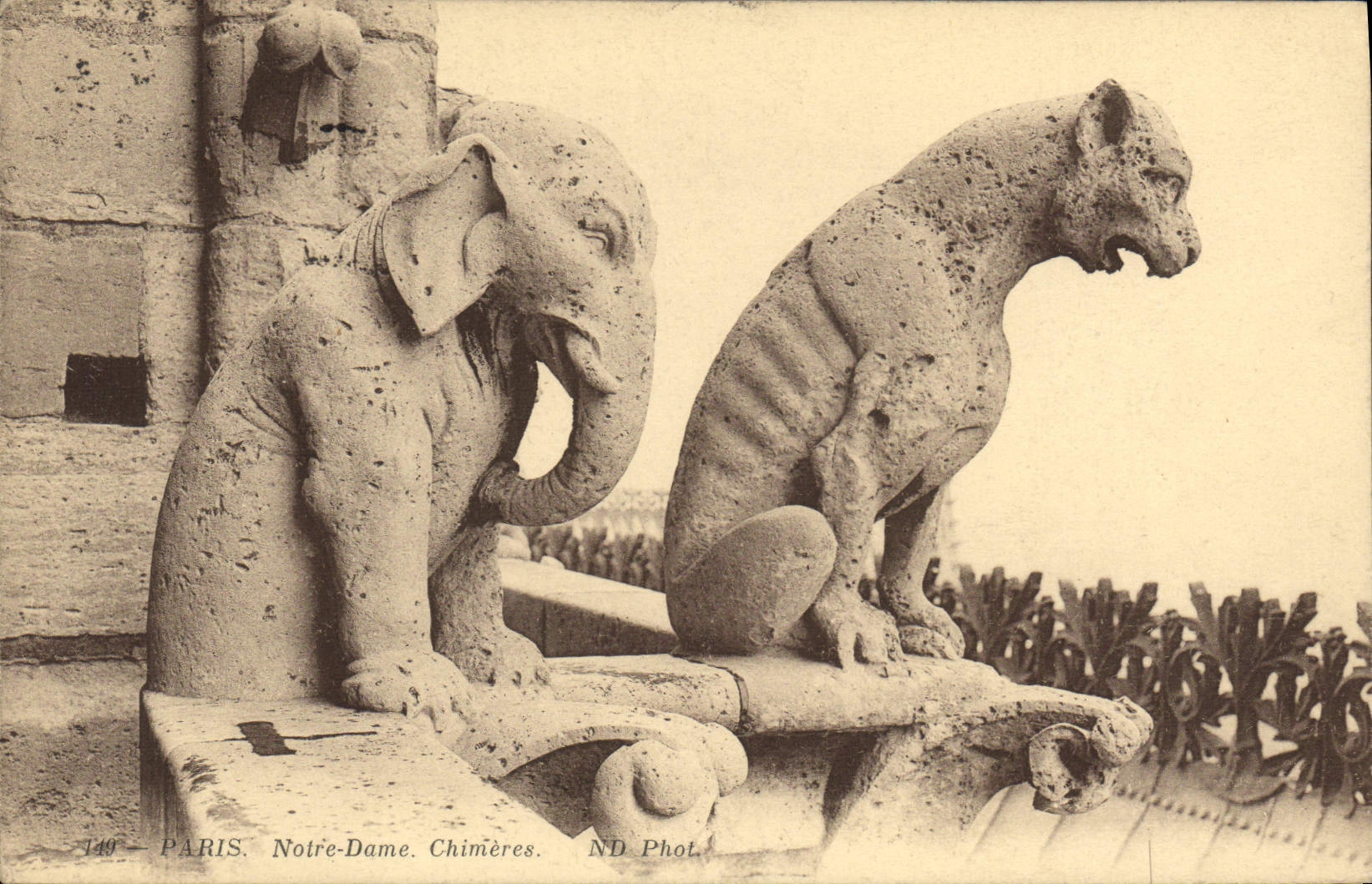 CPA Gargouille Paris Notre Dame Chimeres Elephant